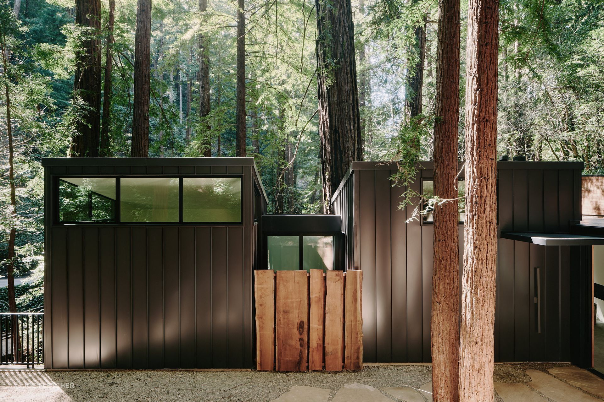 STUDIOSCHICKETANZBig-Sur-Cabin34-v2.jpg