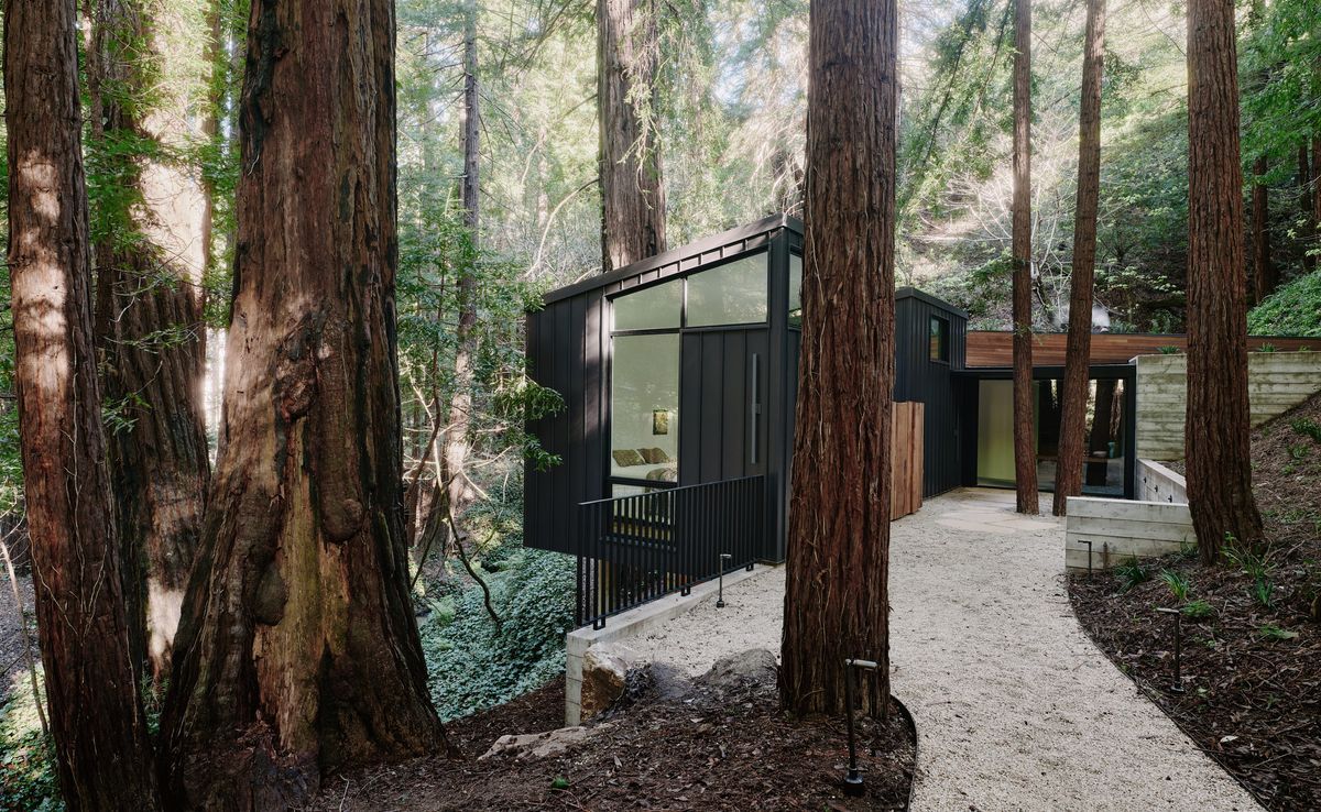 A Cabin Rebuilt to Last
