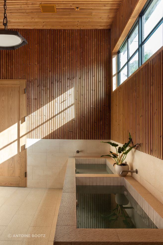 cravotta-interiors-west-austin-recovery-room-teak-limestone-cold-plunge-sauna-austin-ap-compressed-v2.jpg