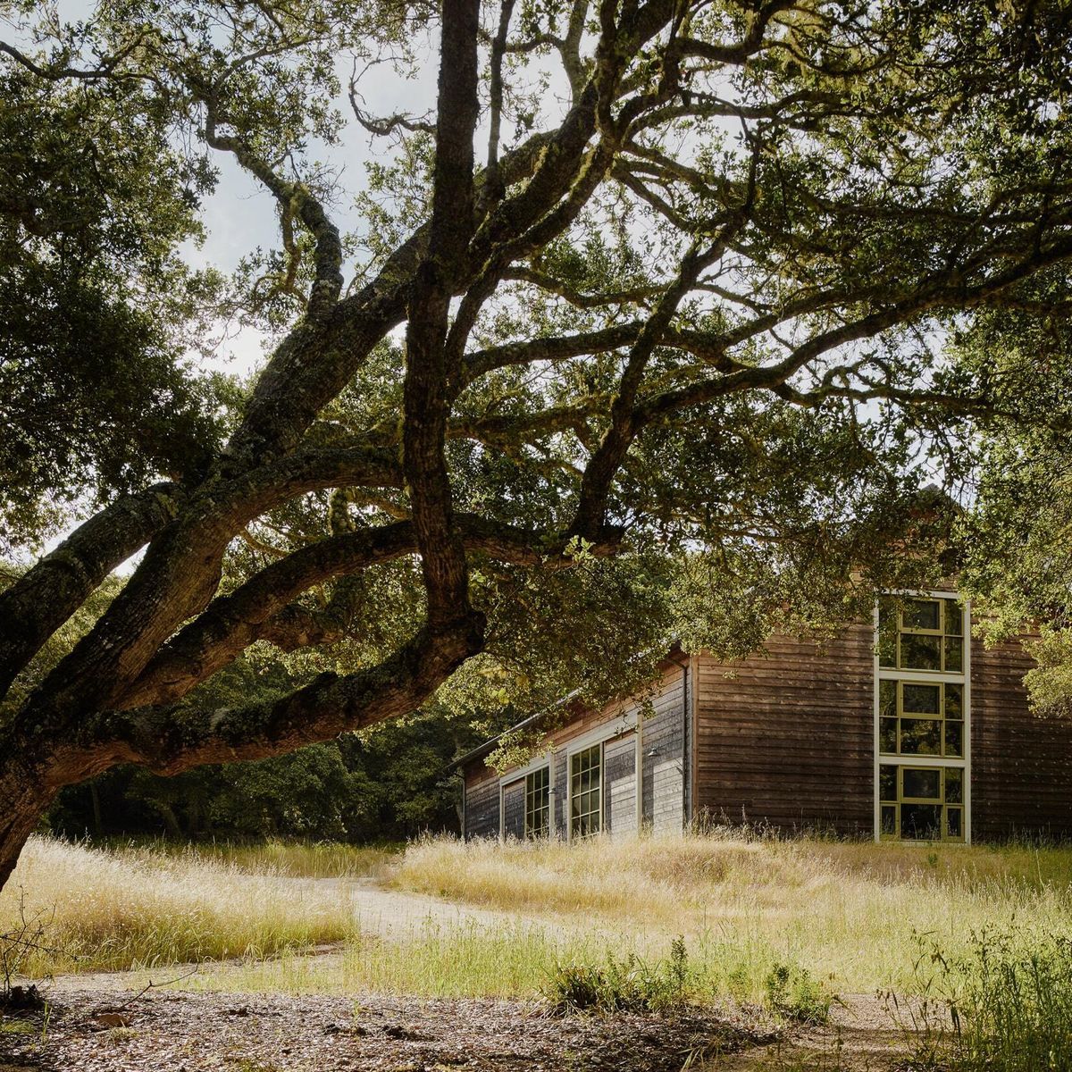 An Architect Fluent in Place