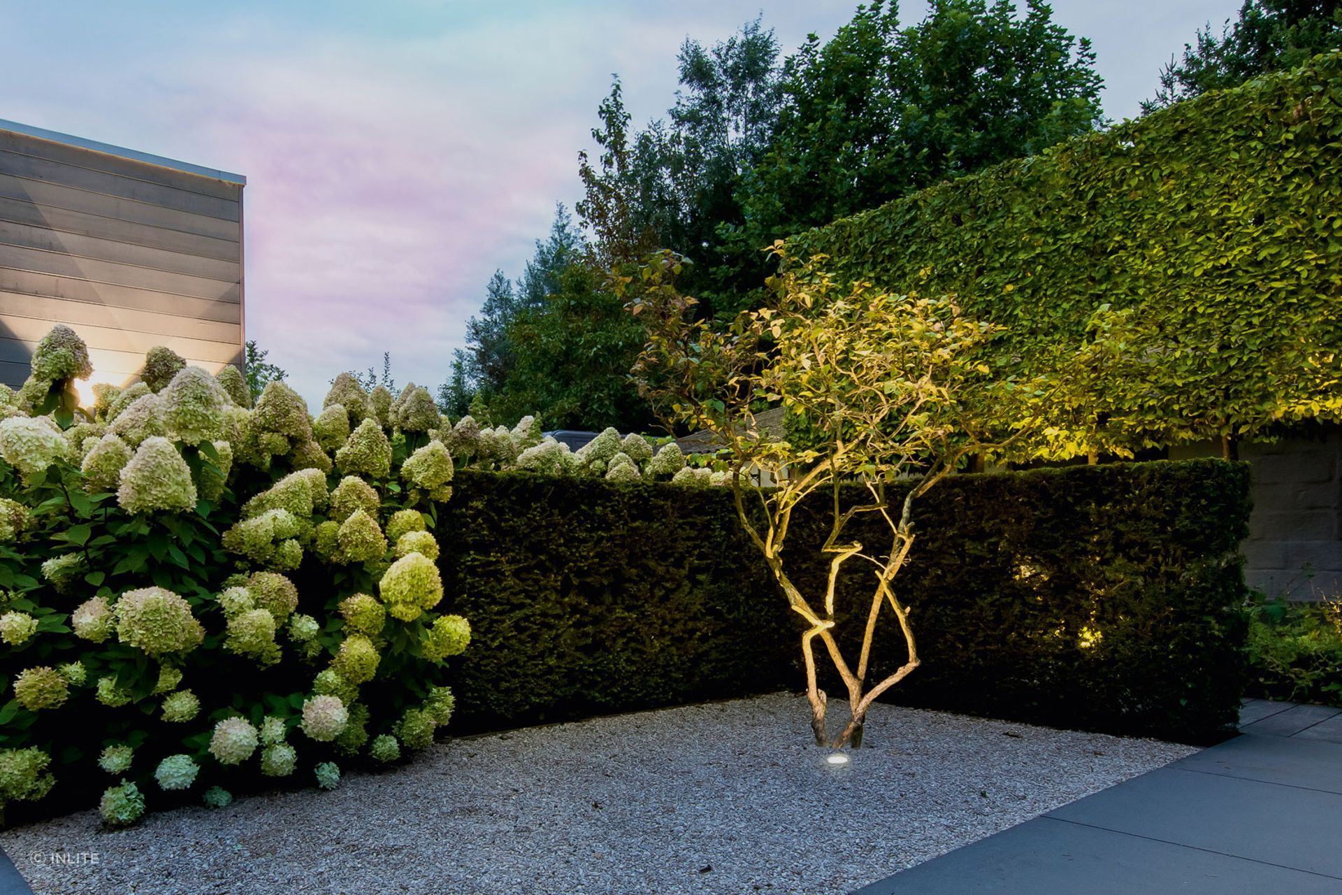 Make the trees in your backyard stand out with uplighting.