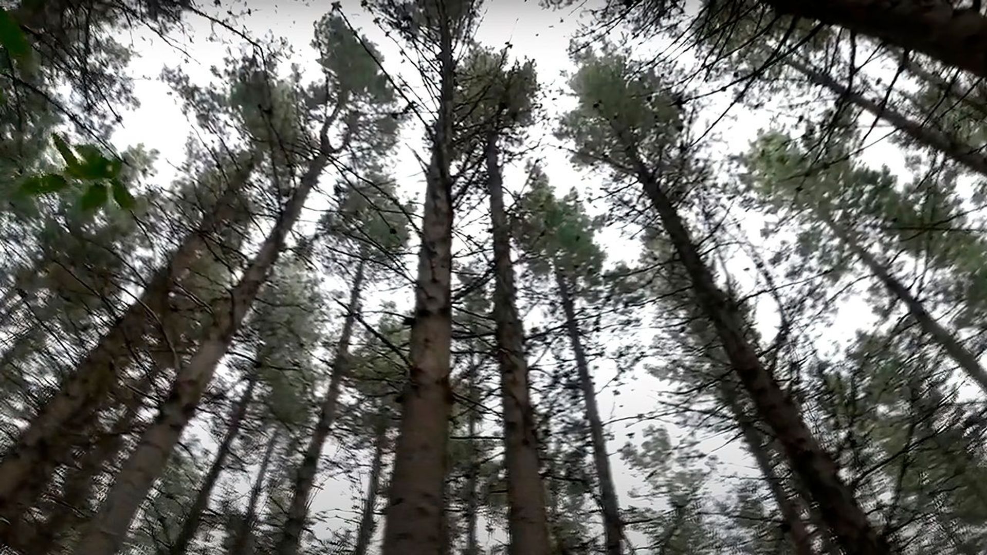 undefined video