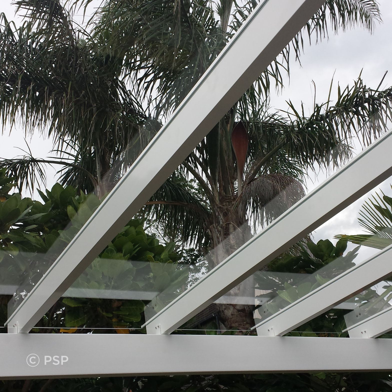 20150304181315-ap-compressed.jpg