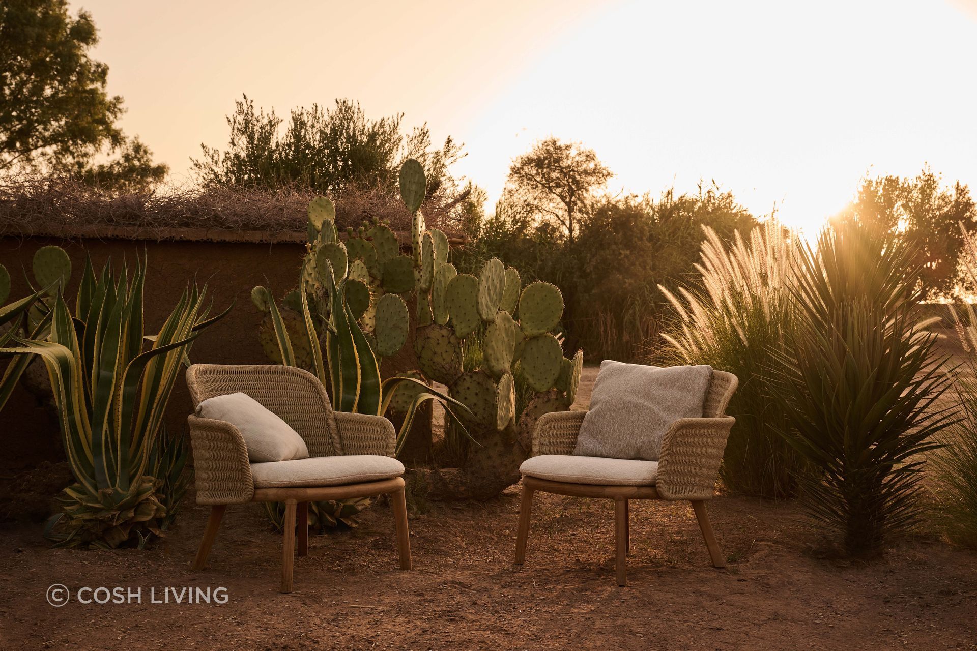 2024Suro-Lounge-Chair-1-v2.jpg