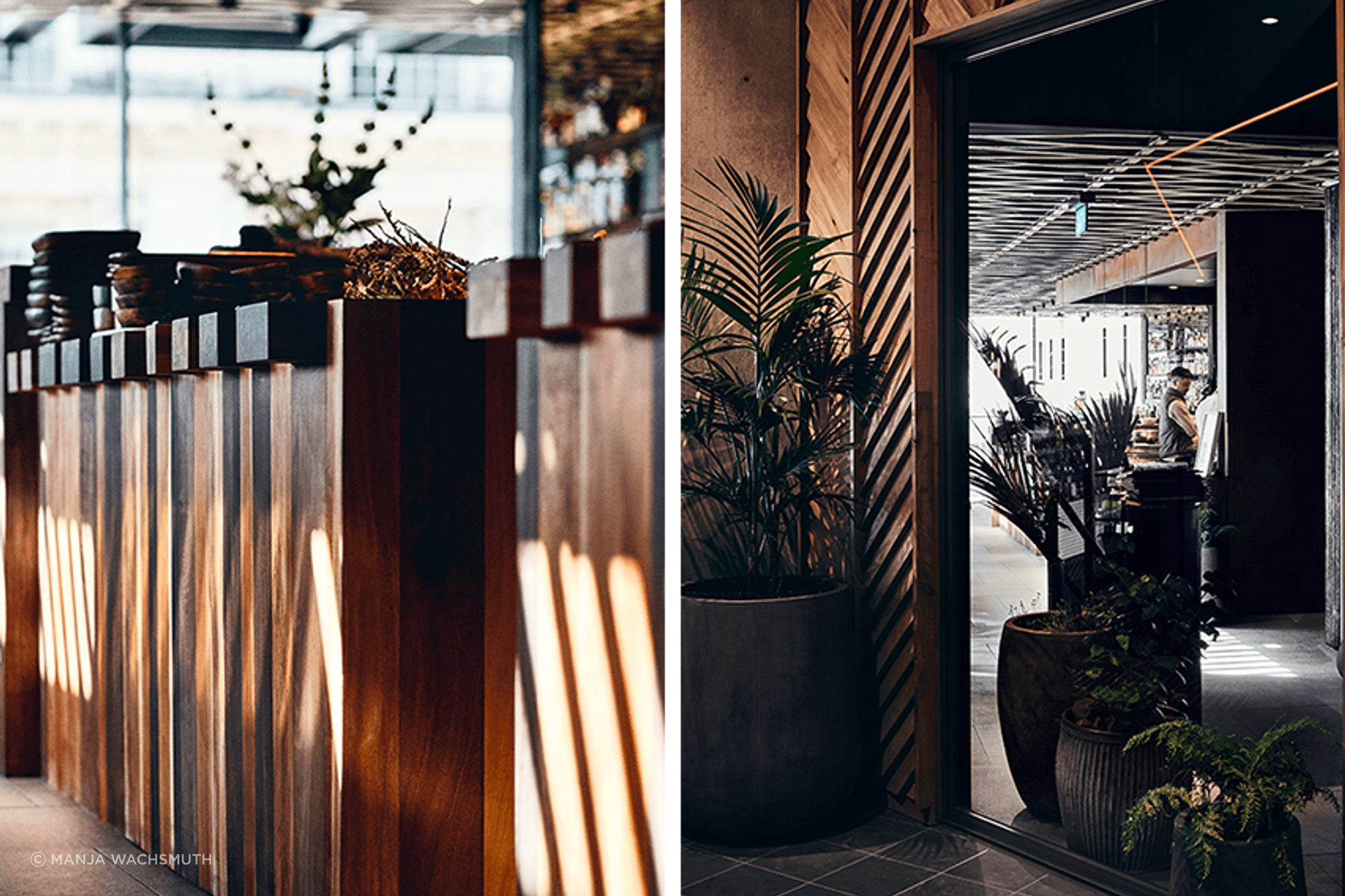 A look inside: Ahi