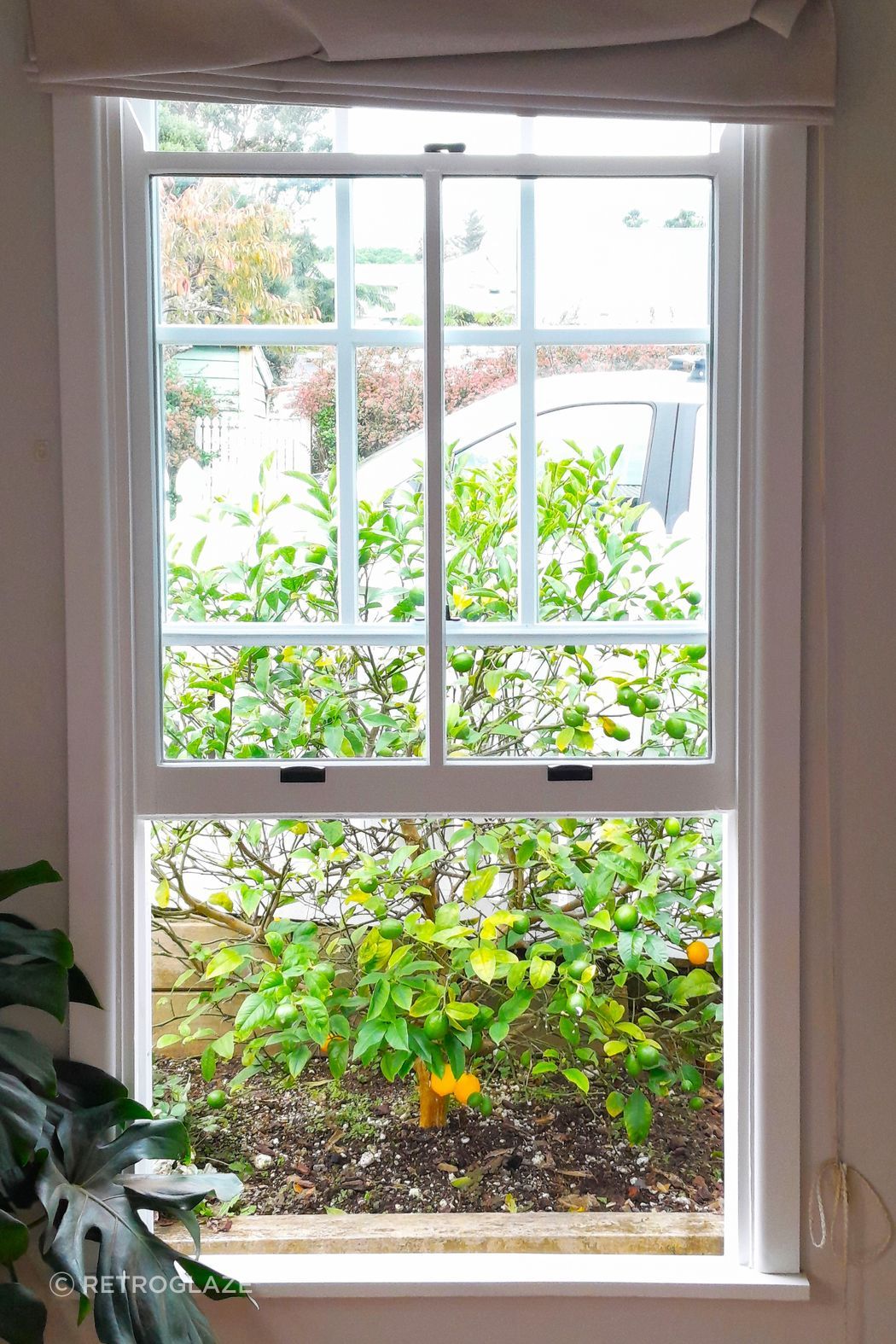 Classic double hung windows with colonial bars complete the colonial charm of this Ngaio railway cottage.