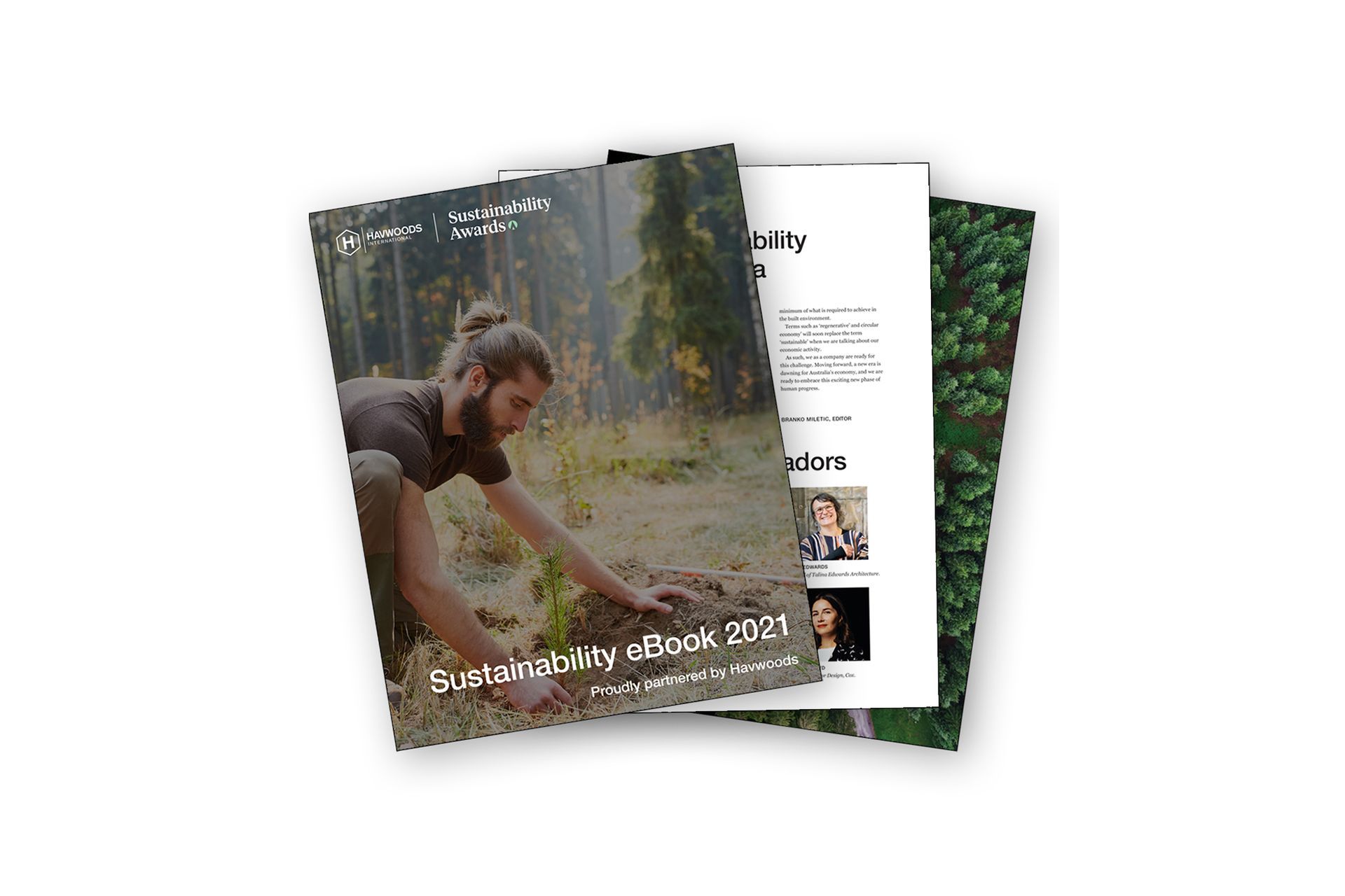 Eco Labels and Reclaimed Wood: The Different Faces of the Sustainable Timber Flooring Industry