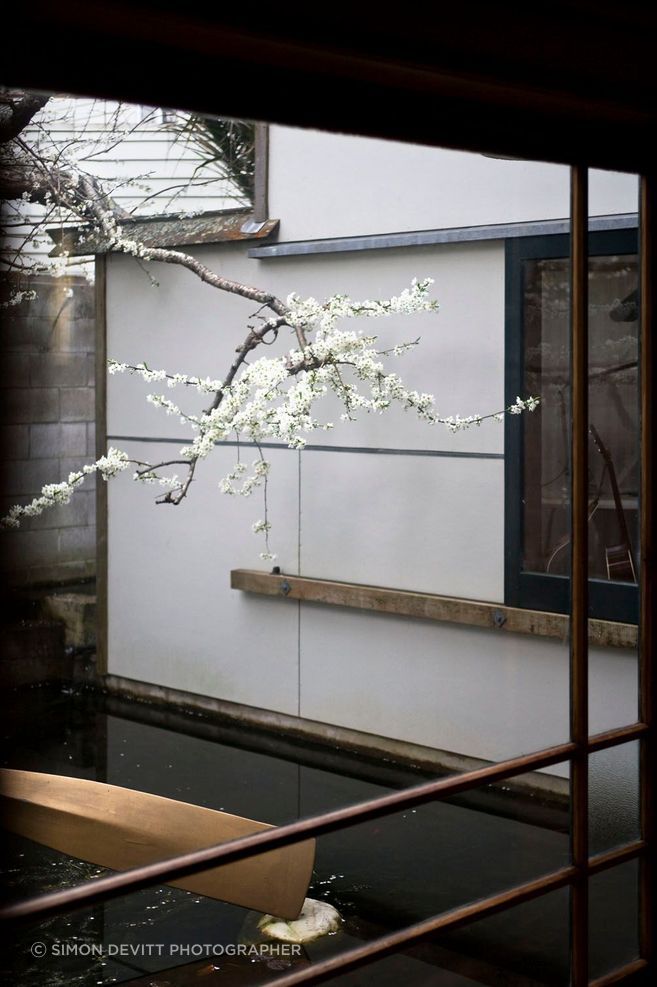 Heke Street House, Freemans Bay, Auckland, designed by Mitchell Stout Architects.
