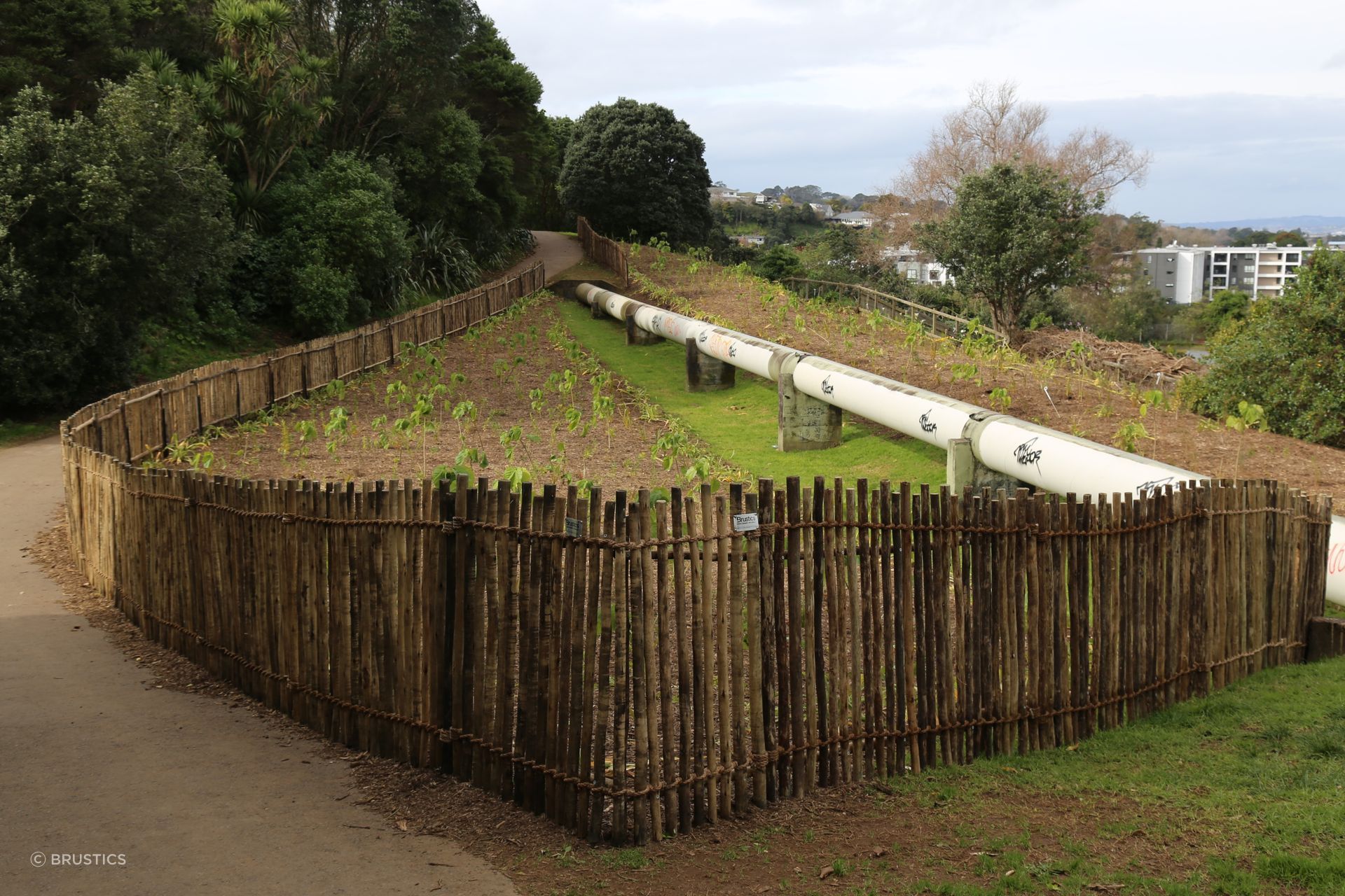 Natural Eucalypt Fencing provides a temporary barrier around established planting, helping protect landscaped areas while keeping pathways accessible.