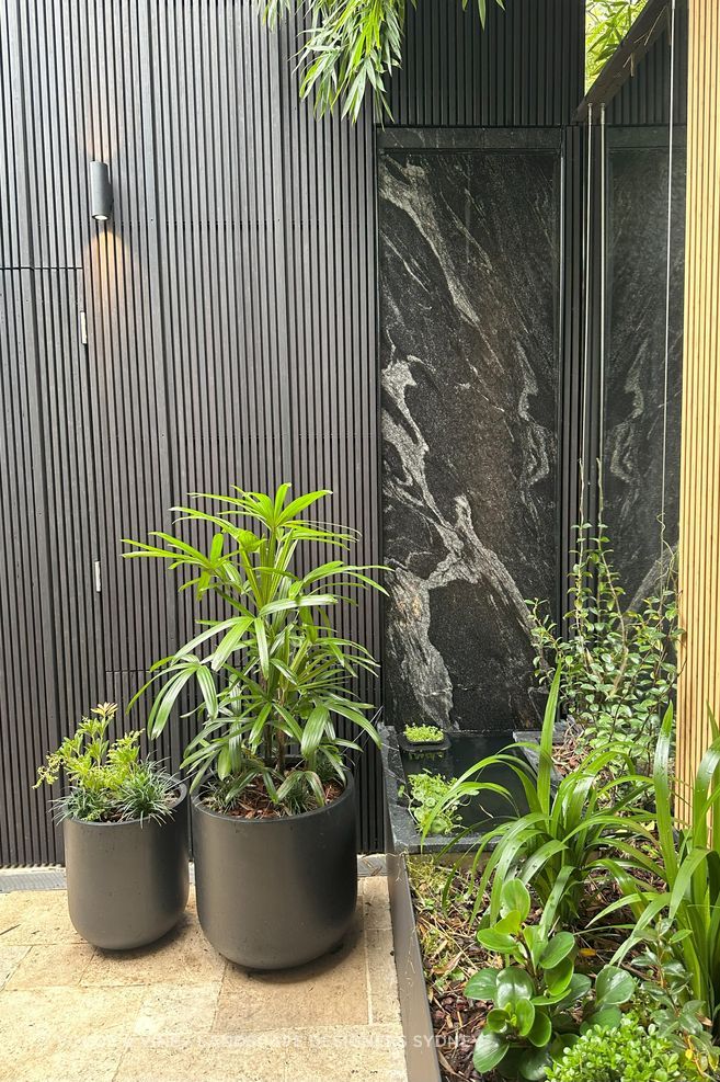 Landscape-Design-Eastern-Suburbs-Sydney-NSW.jpg