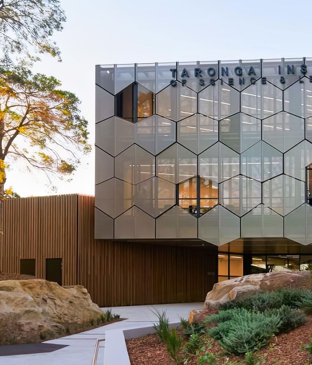 Thermal Biophilia and the Neuroscience of Comfort in Australian Projects
