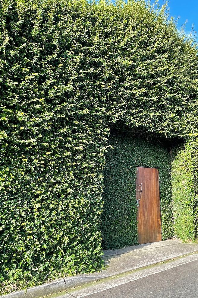 Borrowed Landscape: Making more of the humble laneway