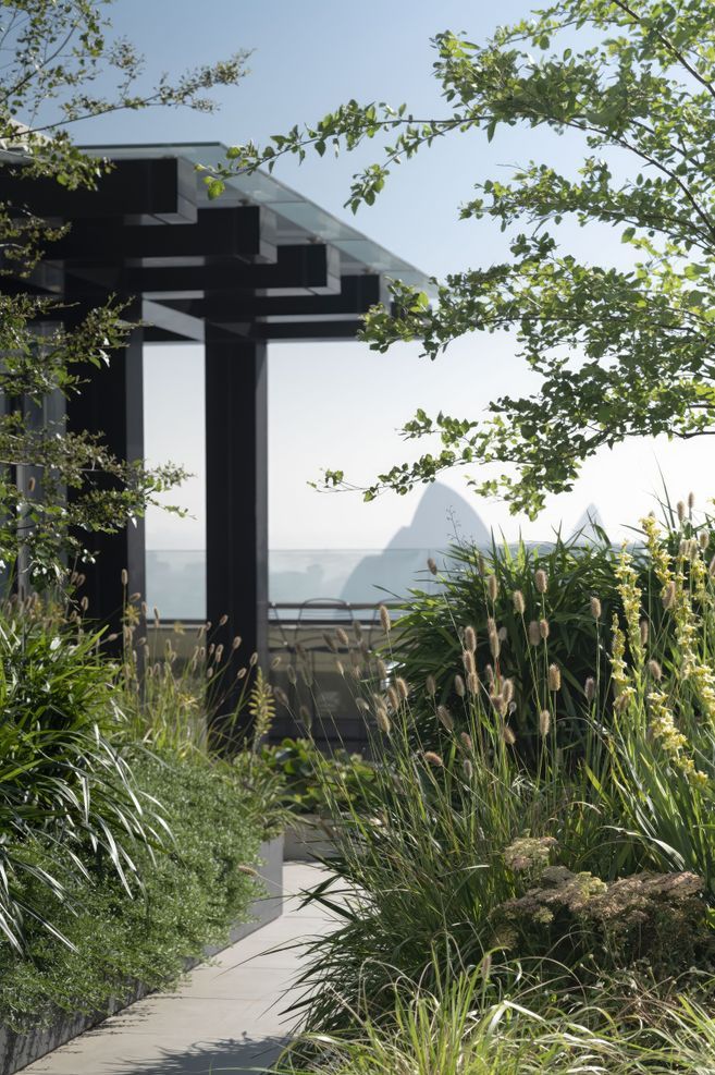 ScaledSG-PLATINUM-19-11-20190606-scaled-standard-scale-200x.jpg
