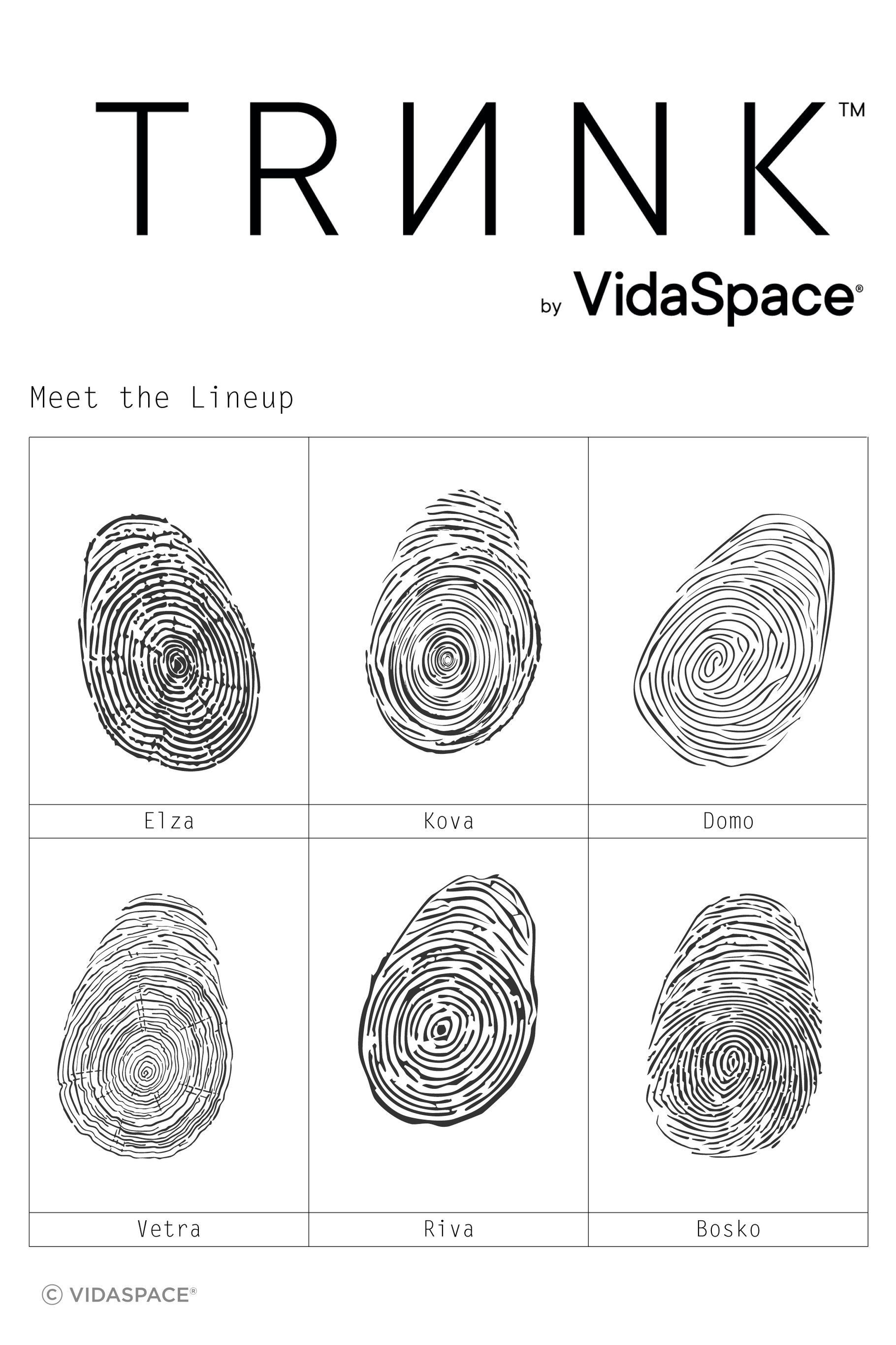 TRUNK-Brochure-Front-Cover-v3.jpg