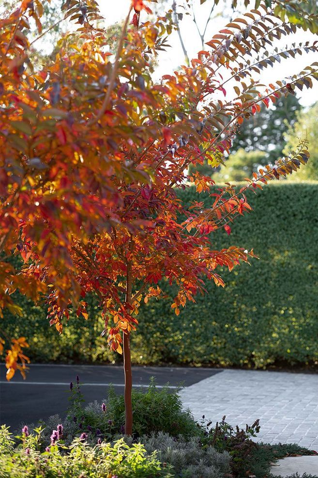 The warm heart of cold gardens