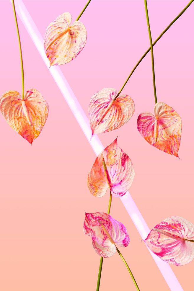 NEON DREAMS: PINK | TWOSTYLE X AF Fine Art Print from A$270.00