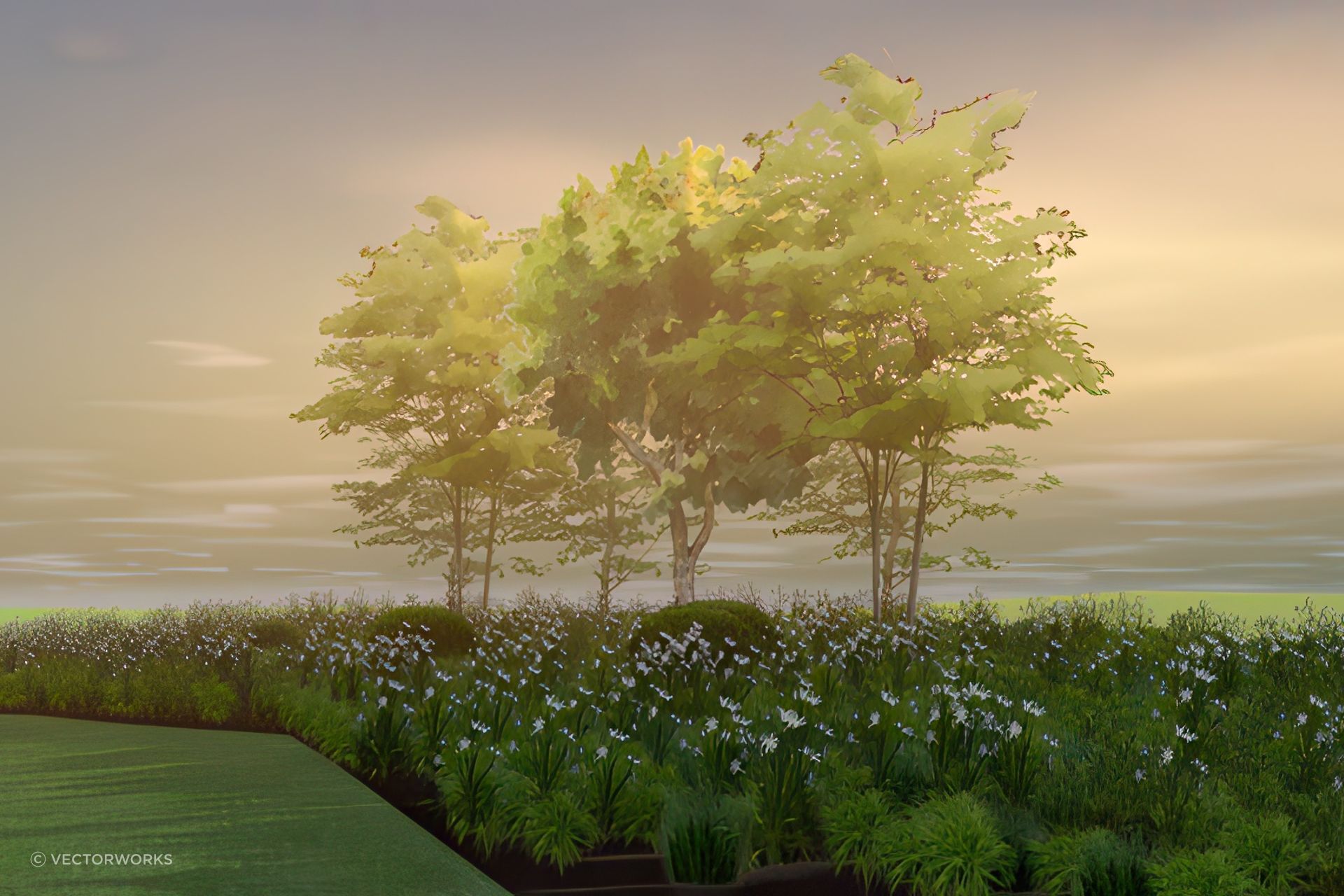 archipro-BackgroundLitFog-2.jpeg
