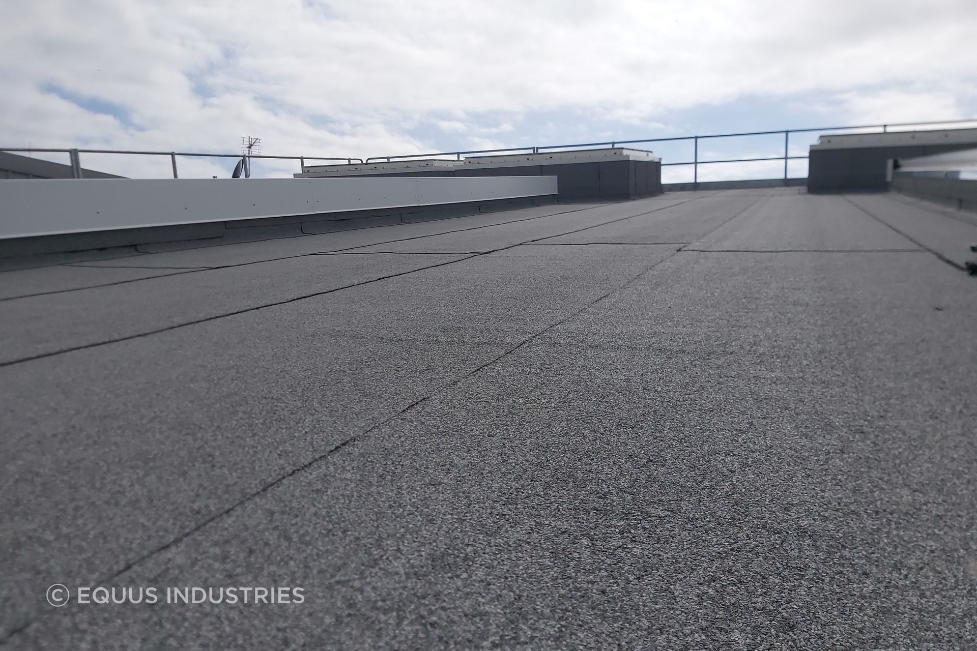 Case Study: Tōtara Haumaru – North Shore Hospital