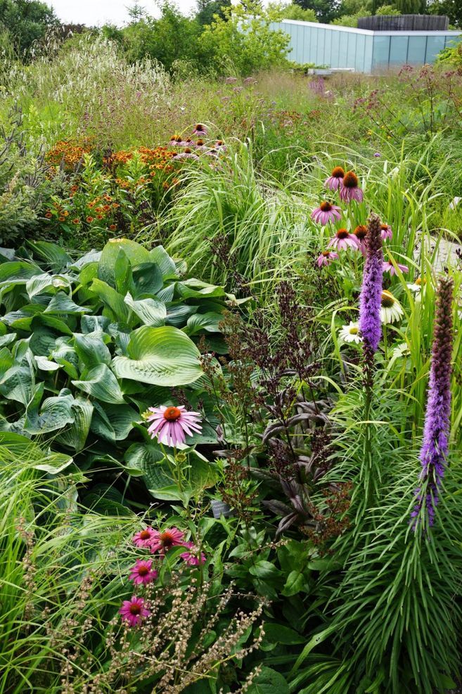 Toronto Botanical gardens – Piet Oudolf – Photo Andy Murray