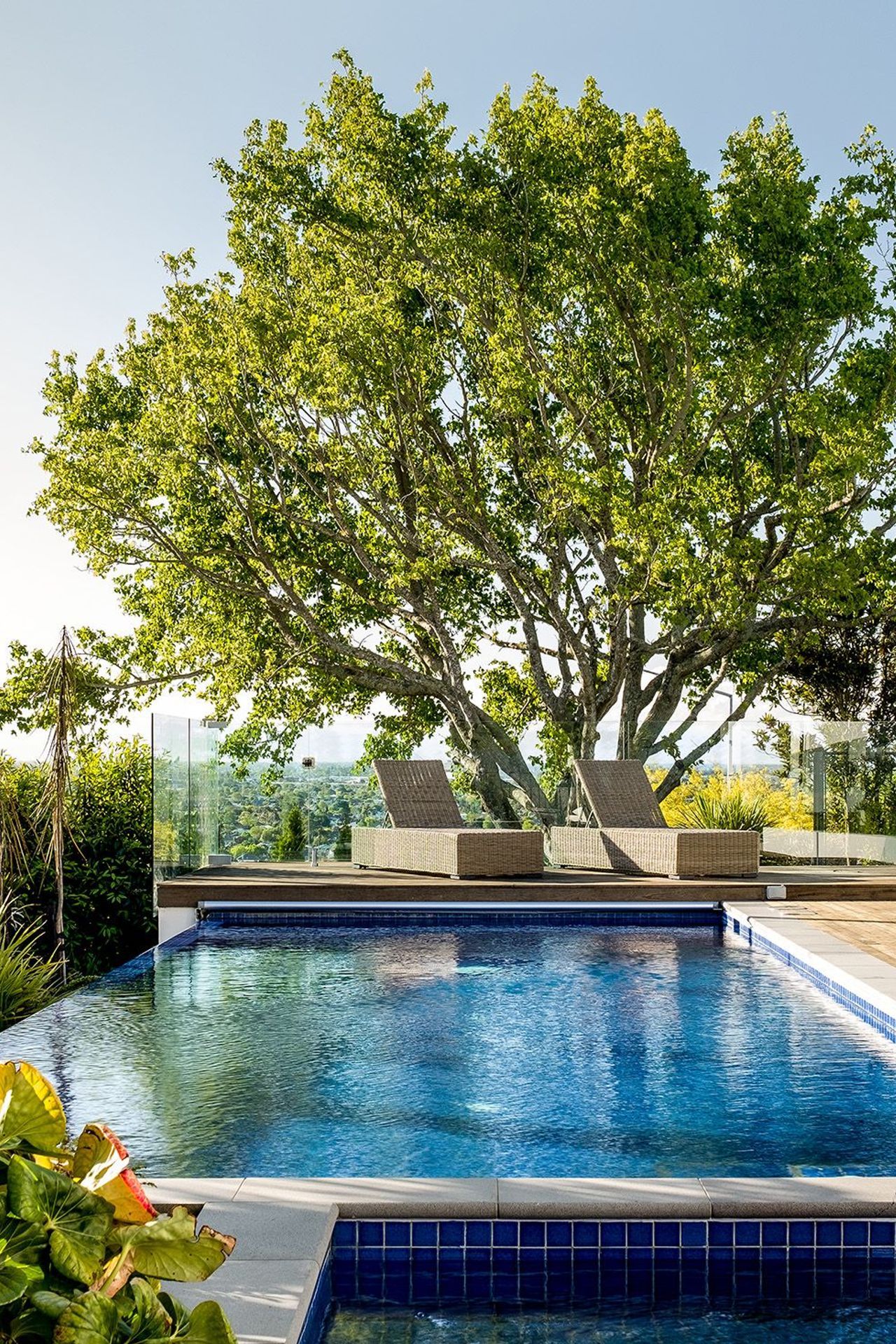 Kamo-Marsh-Landscape-Architects-10895-v2.jpg