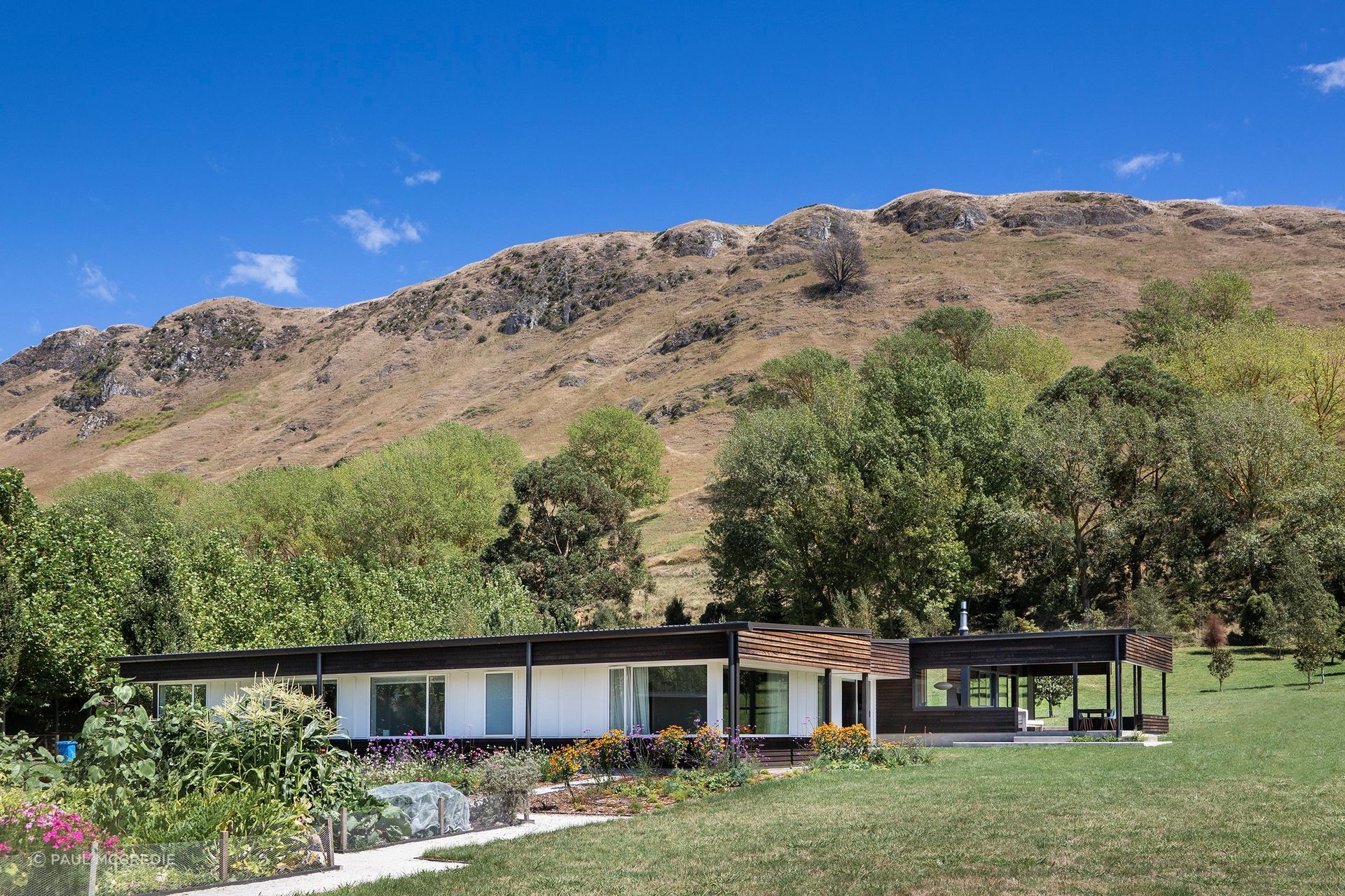 The single-storey house integrates dark and light tones in a loose reference to a magpie bird.