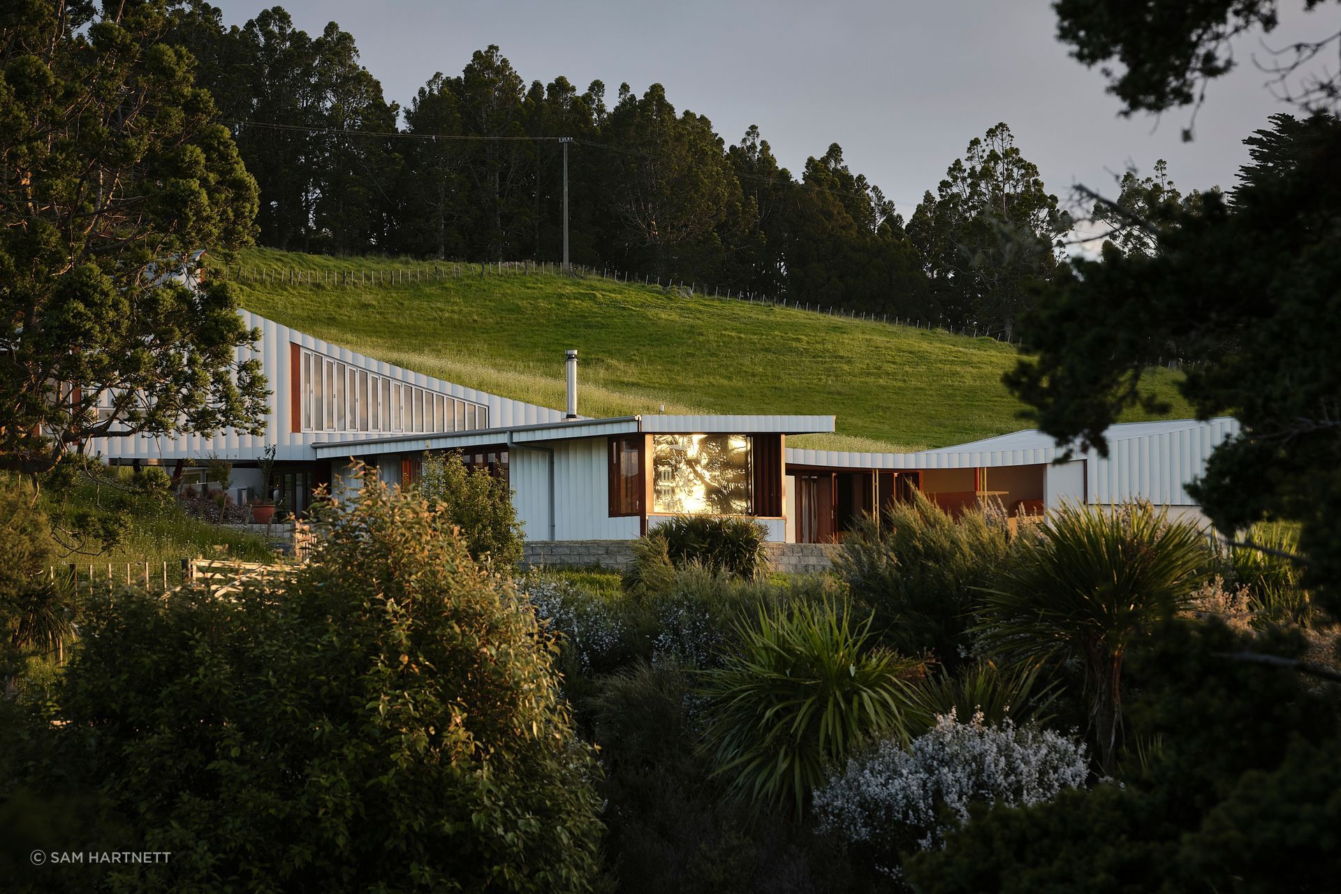 The undulation of the surrounding hills was a primary inspiration for the striking curvature of the home's silhouette.