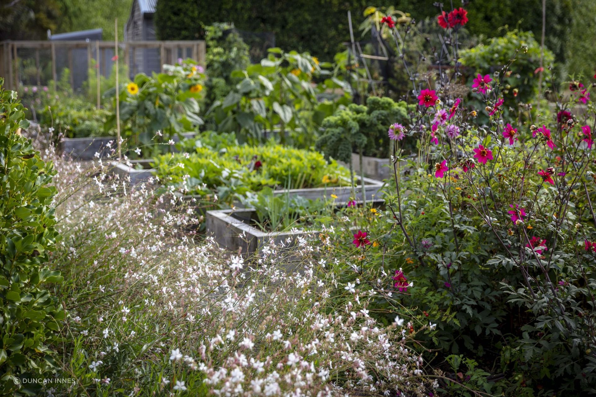 Vegetable and cutting garden combines edible planting with flowering companion plants. Designer: Andy Hamilton.