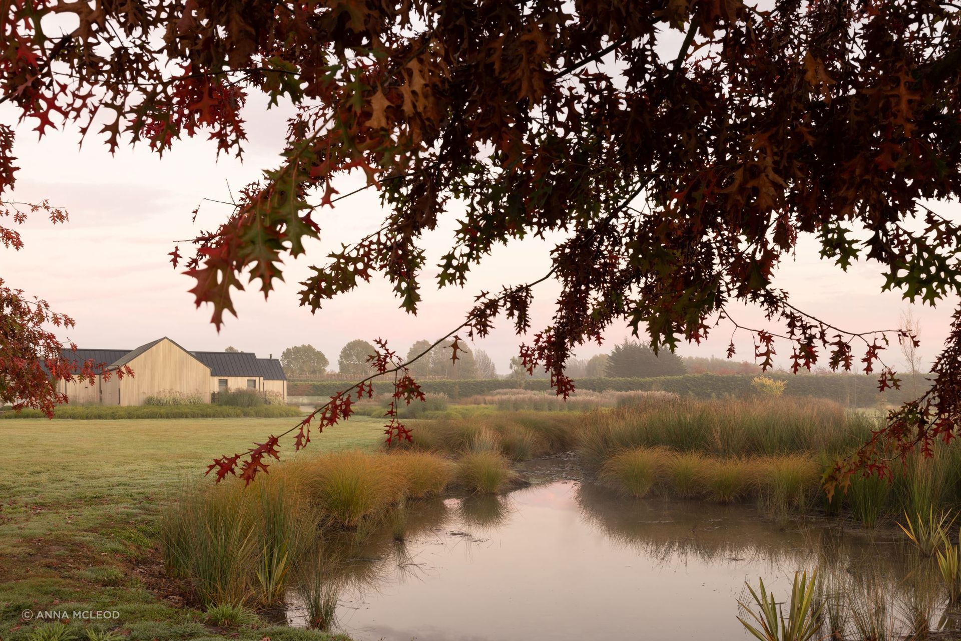 Amongst the idyllic landscape, looking back at The Gate House's eastern face, where the utility shed sits to the side of the main house  | Photographer: Anna McLeod