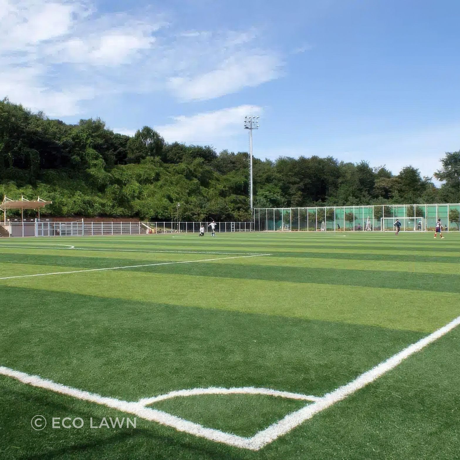 sports-26205931280-1-gigapixel-standard-v2-2000w.jpeg