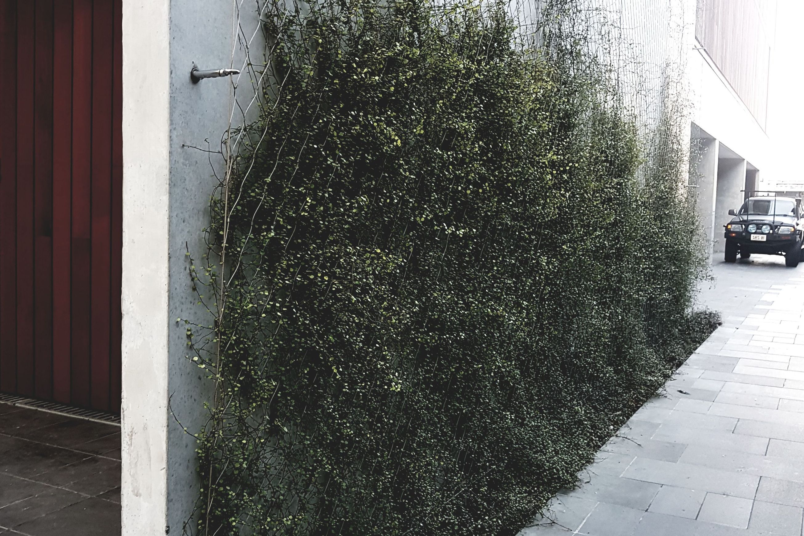 Green Wall Support Systems