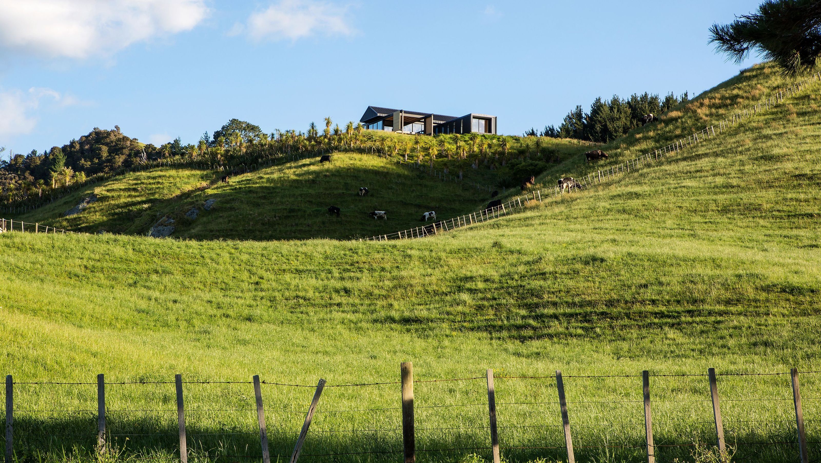Hikuai Hill House