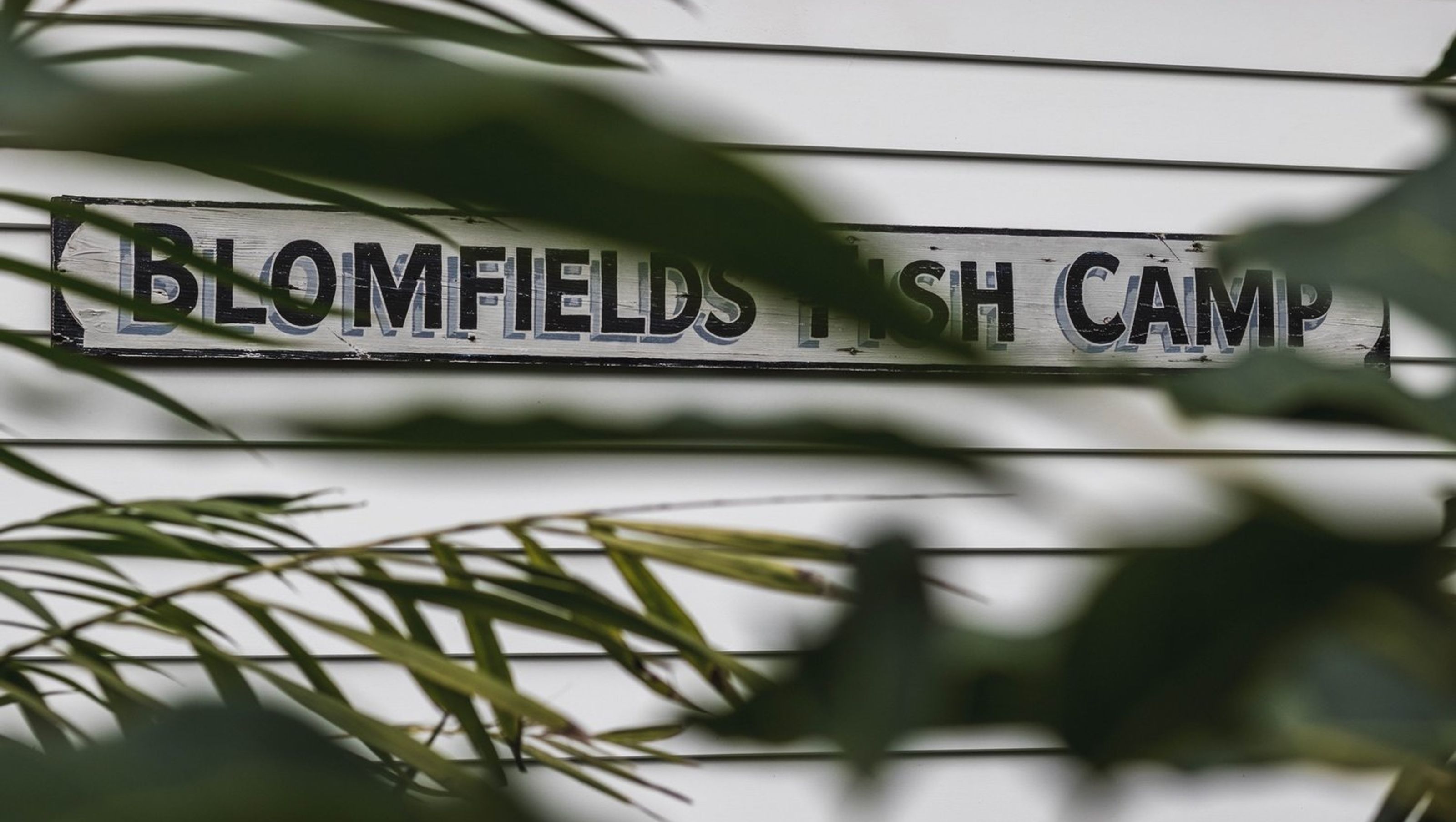 Blomfields