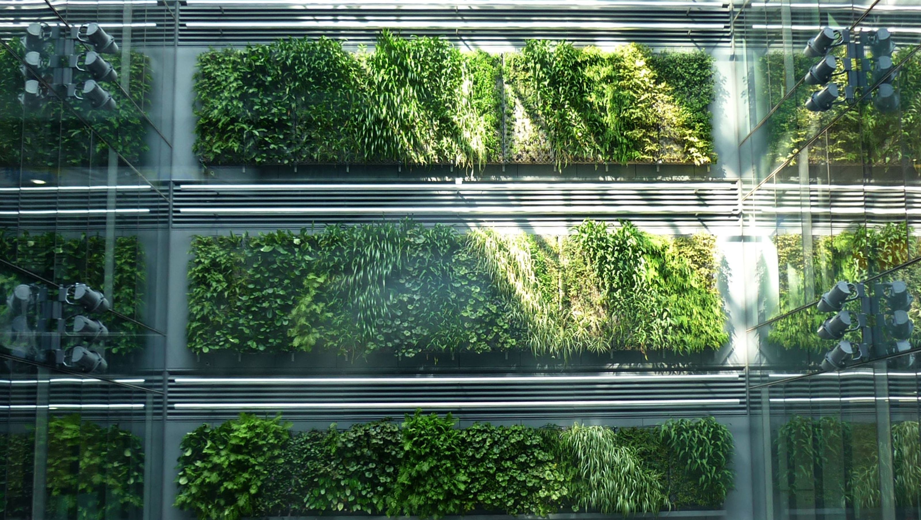 Britomart Green Wall