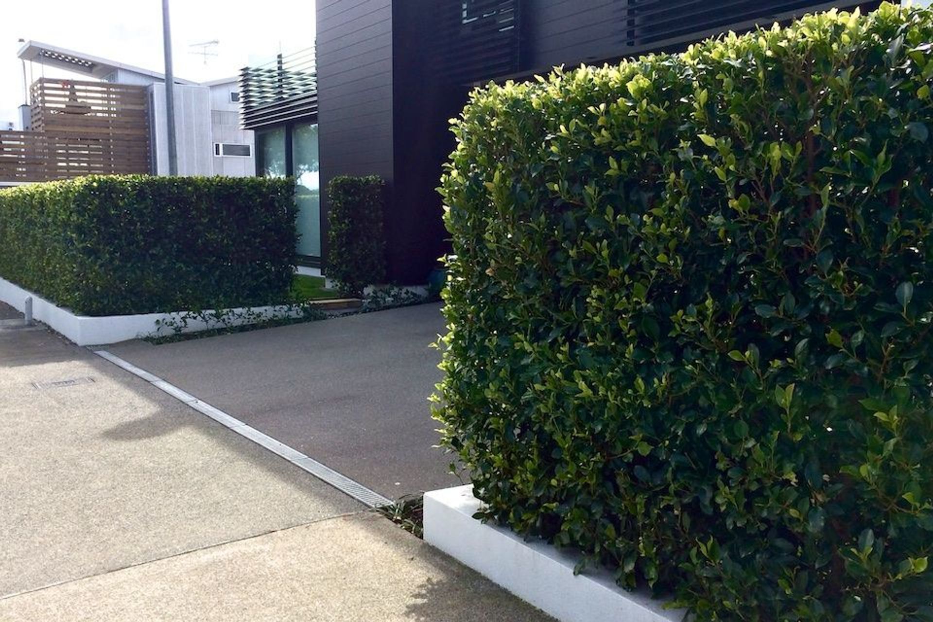 Instant privacy and an outdoor room created with an instant hedge. from our Living Screen™ Range.