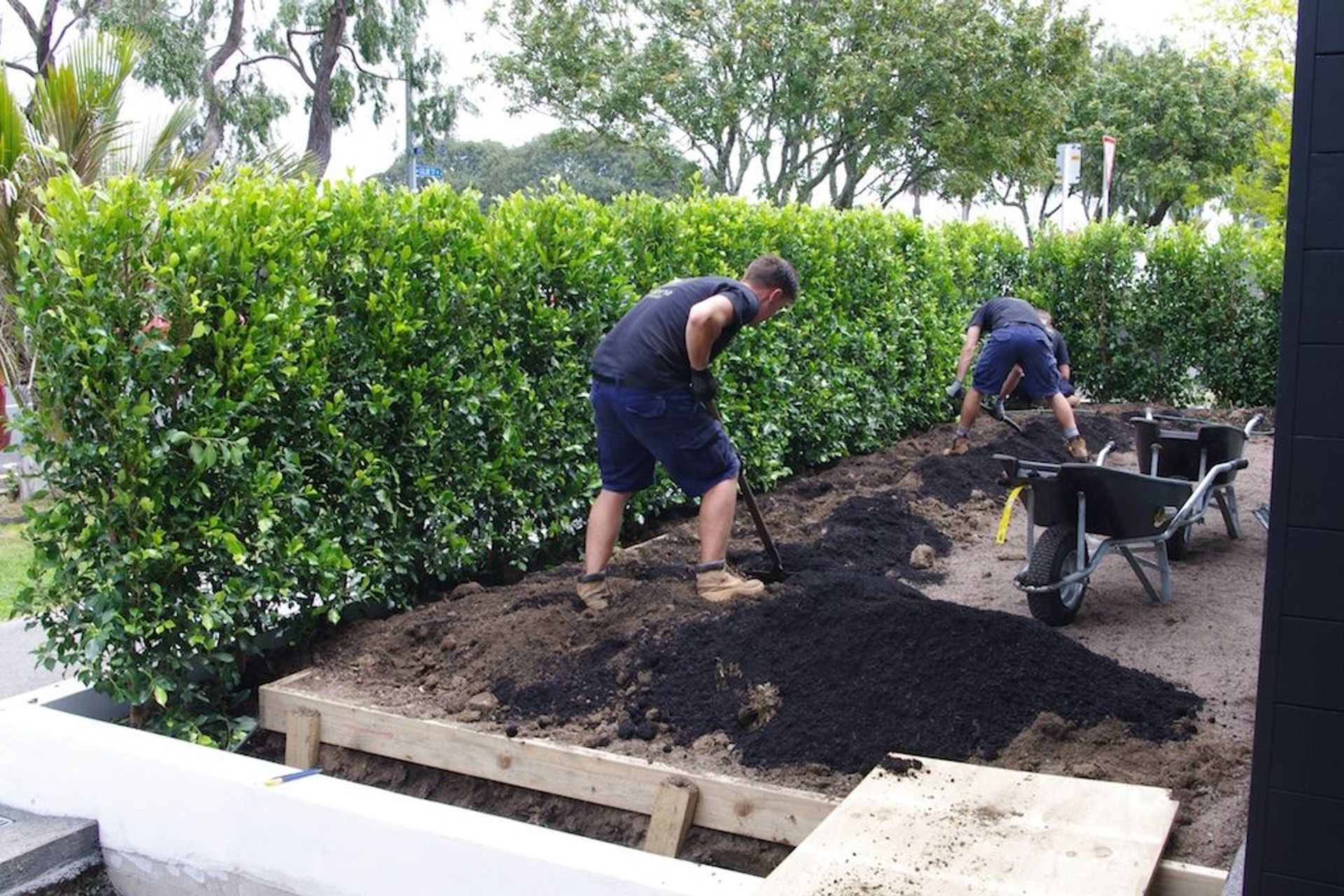 Backfilling with soil once the hedge units are in place.