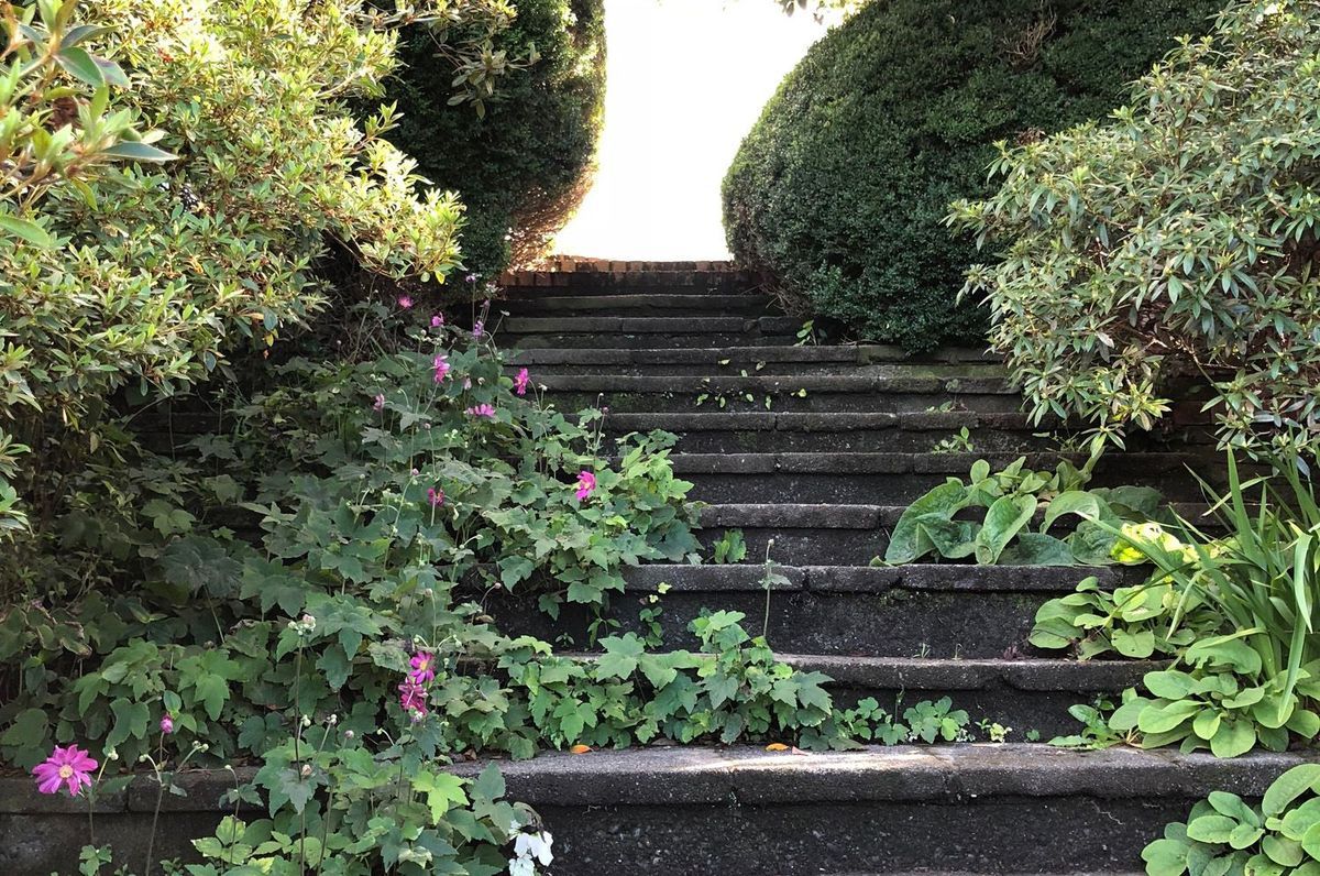 Clive: an enchanted garden
