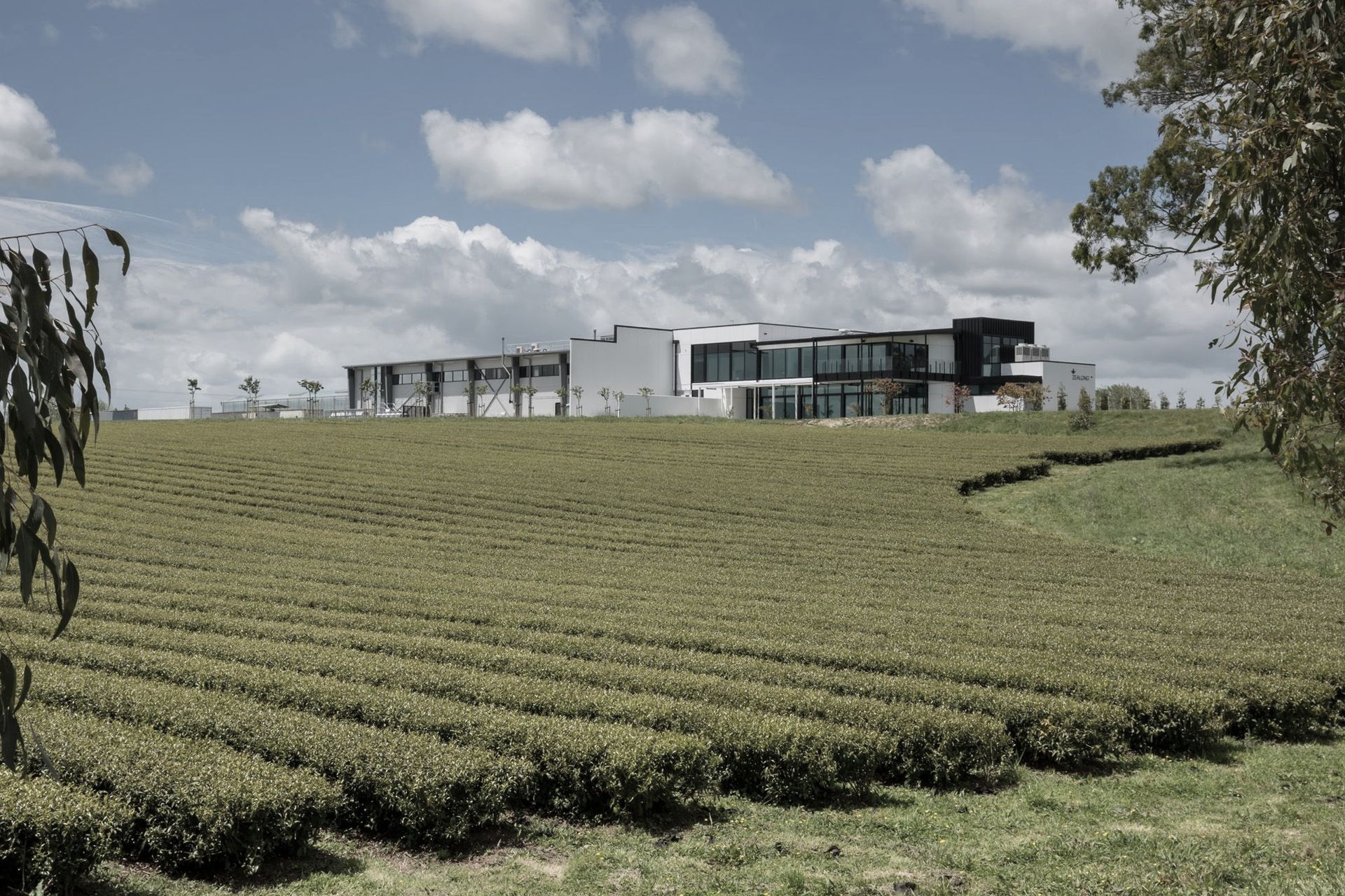 Supporting Image 1 for DLA Architects