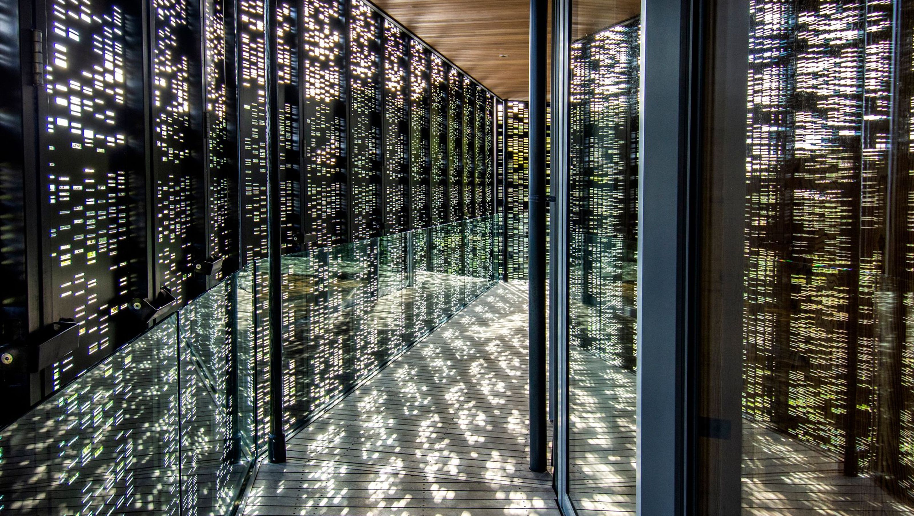 DNA House