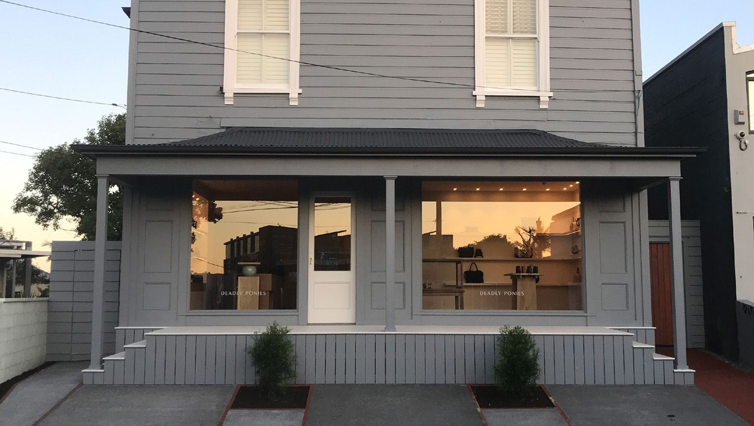 Deadly Ponies Store