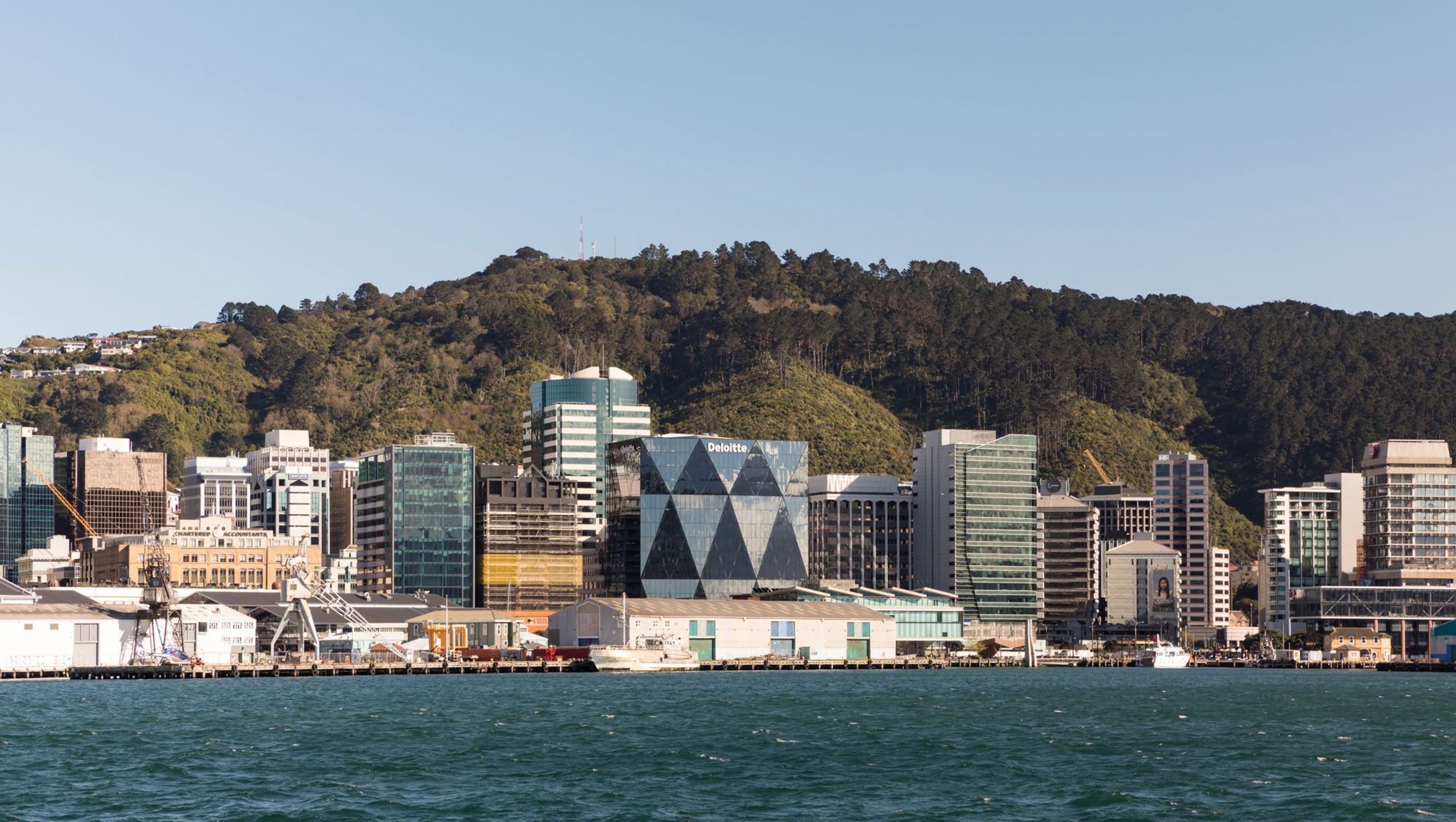 Deloitte Wellington
