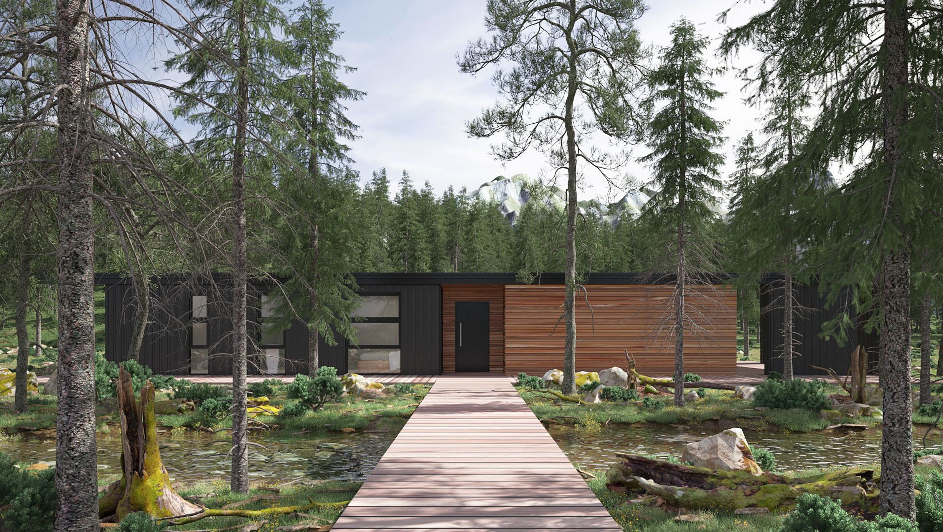 Forest House