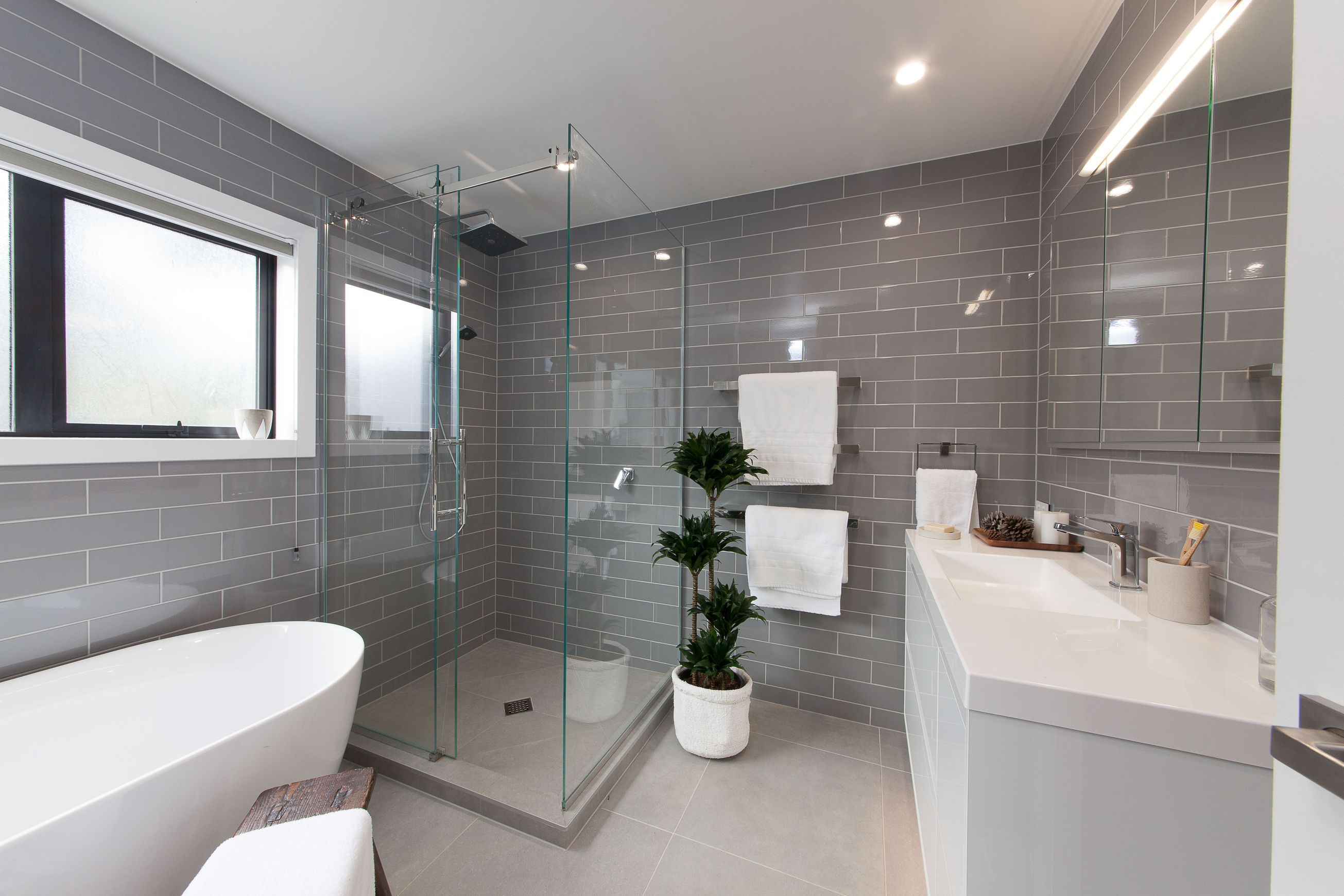 Frameless Glass Showers