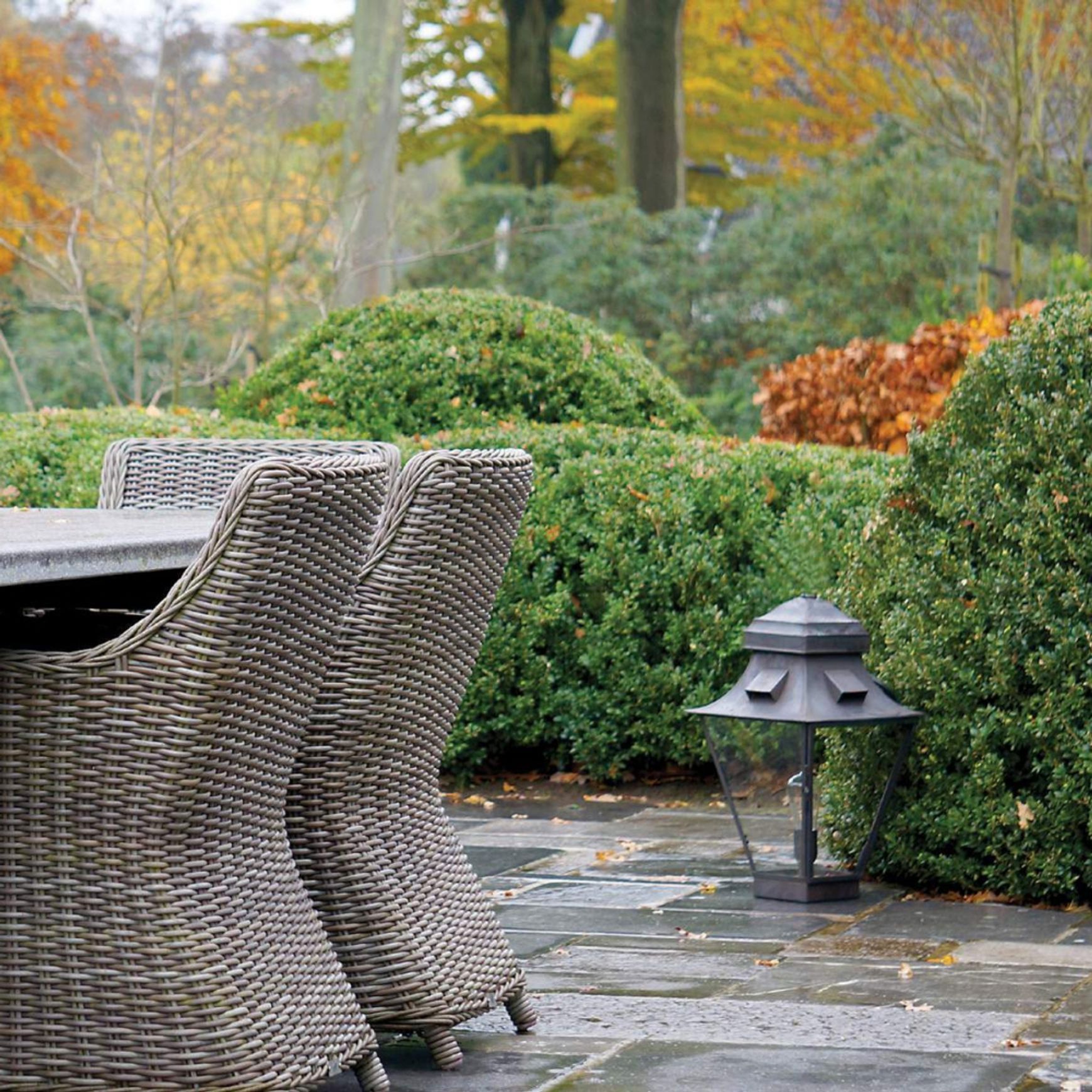 Gracieuze Terrace