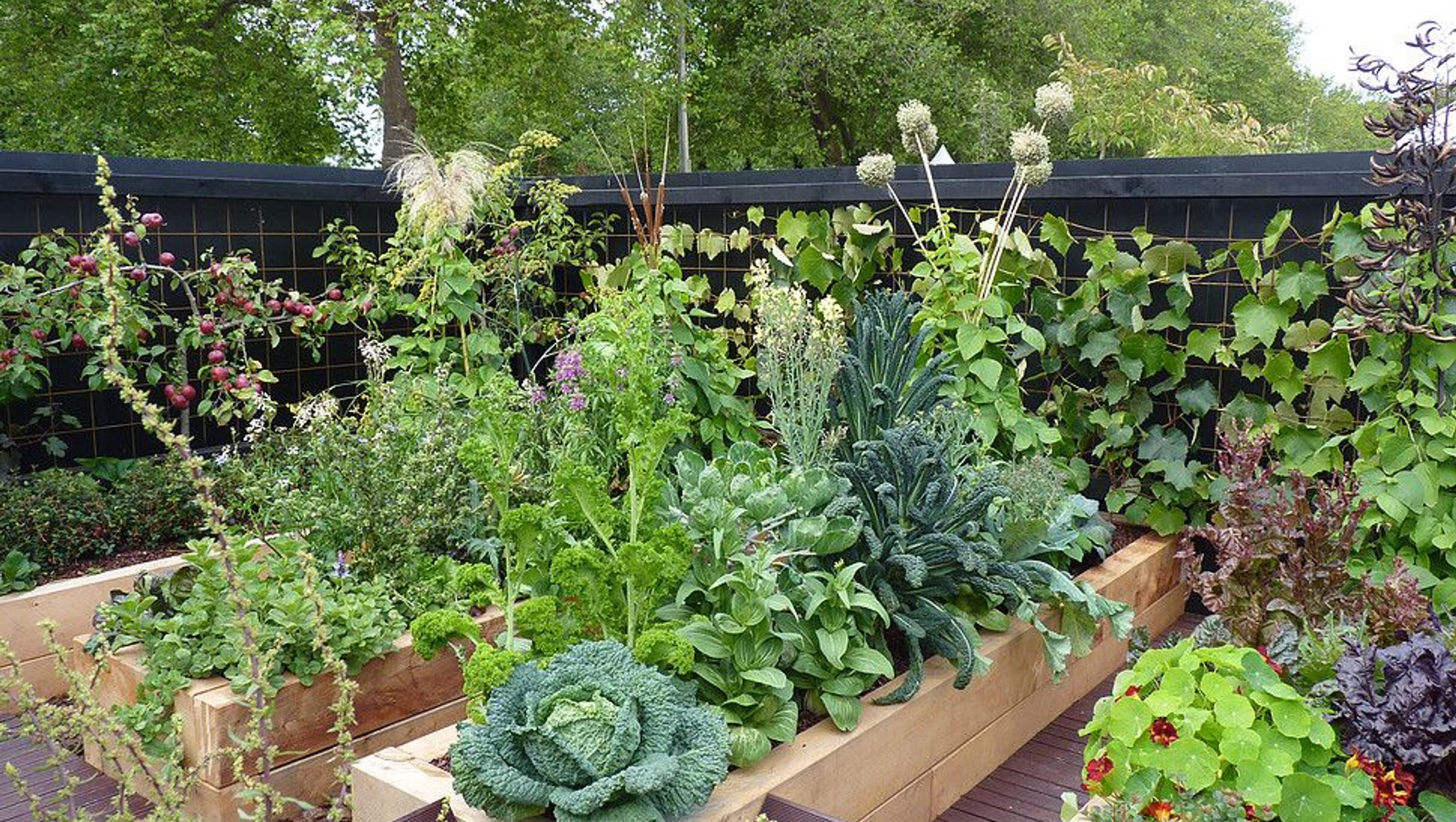 Gold Medal Veggie Garden
