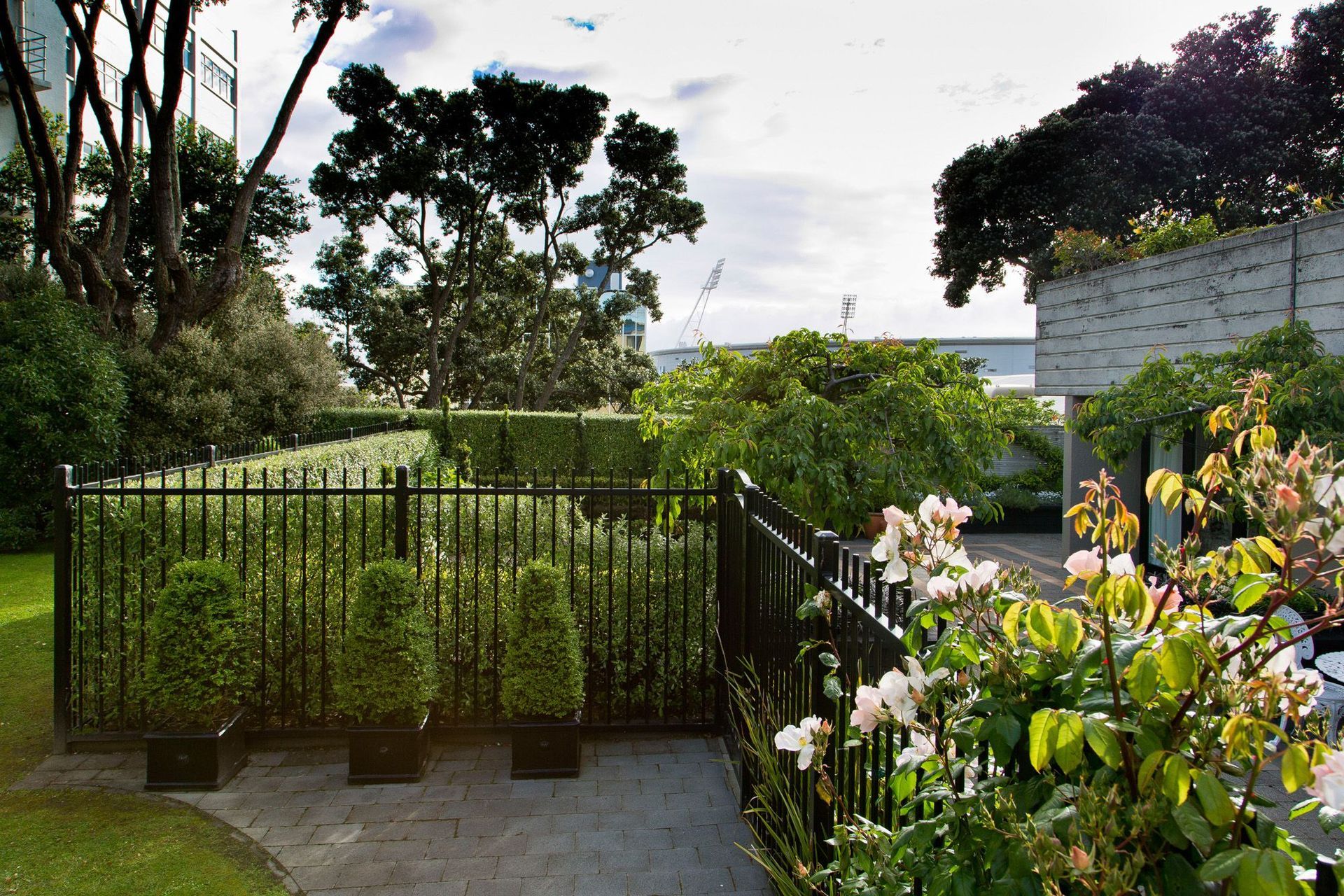 New Black fence for privacy &amp; security