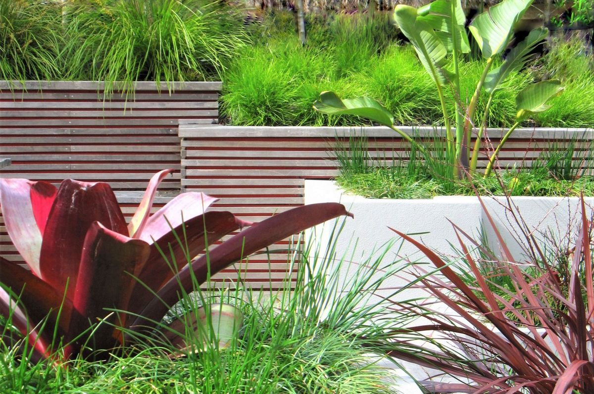 Hillsborough Garden