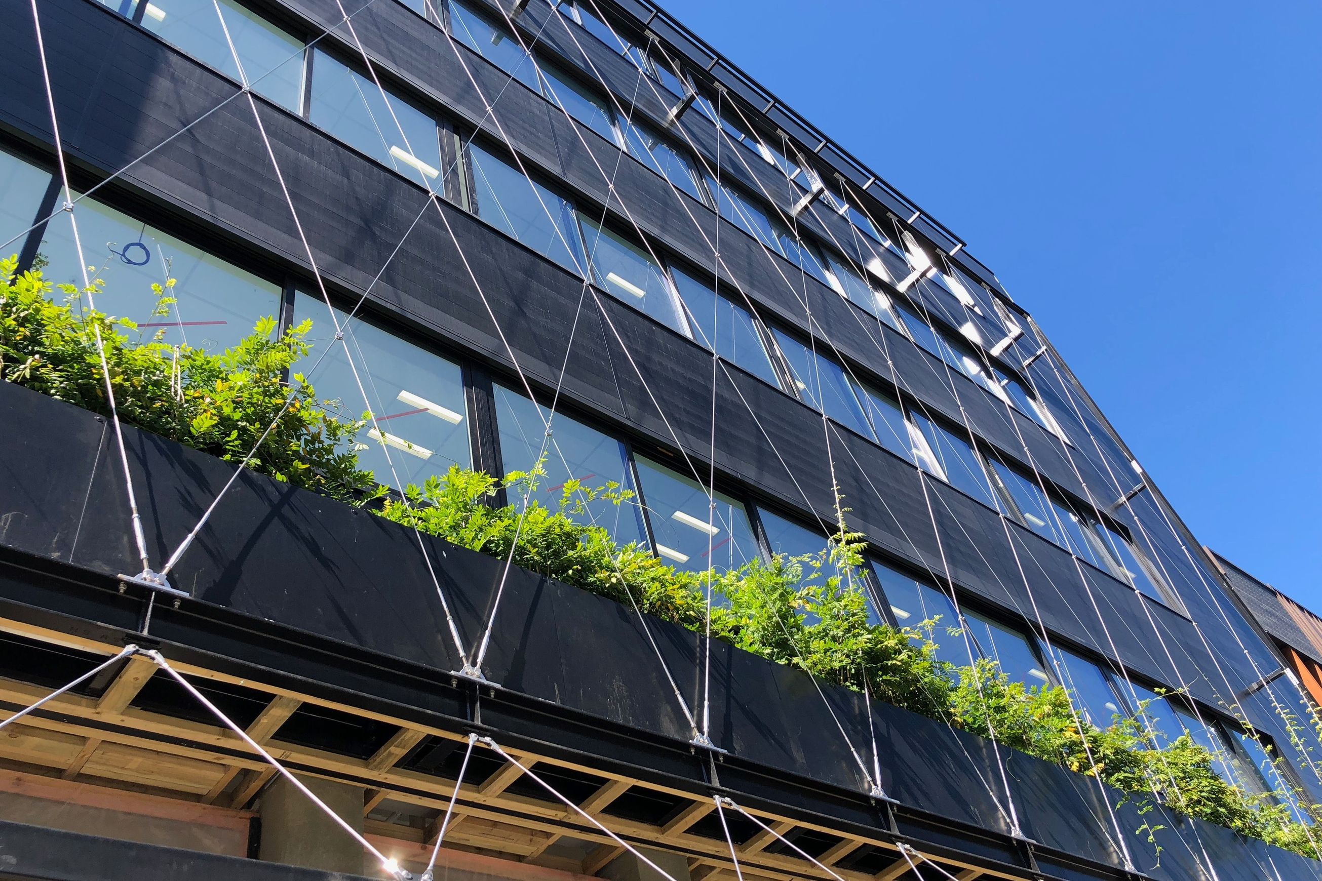 Green Wall Support Systems