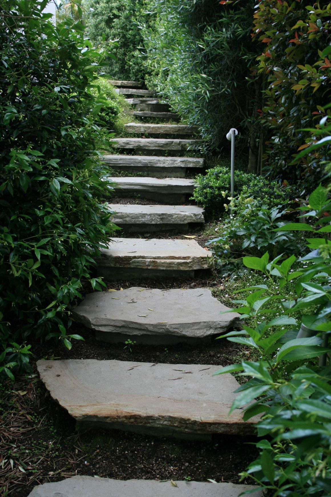 Paradise Stone Stepping Stones and Flagstones