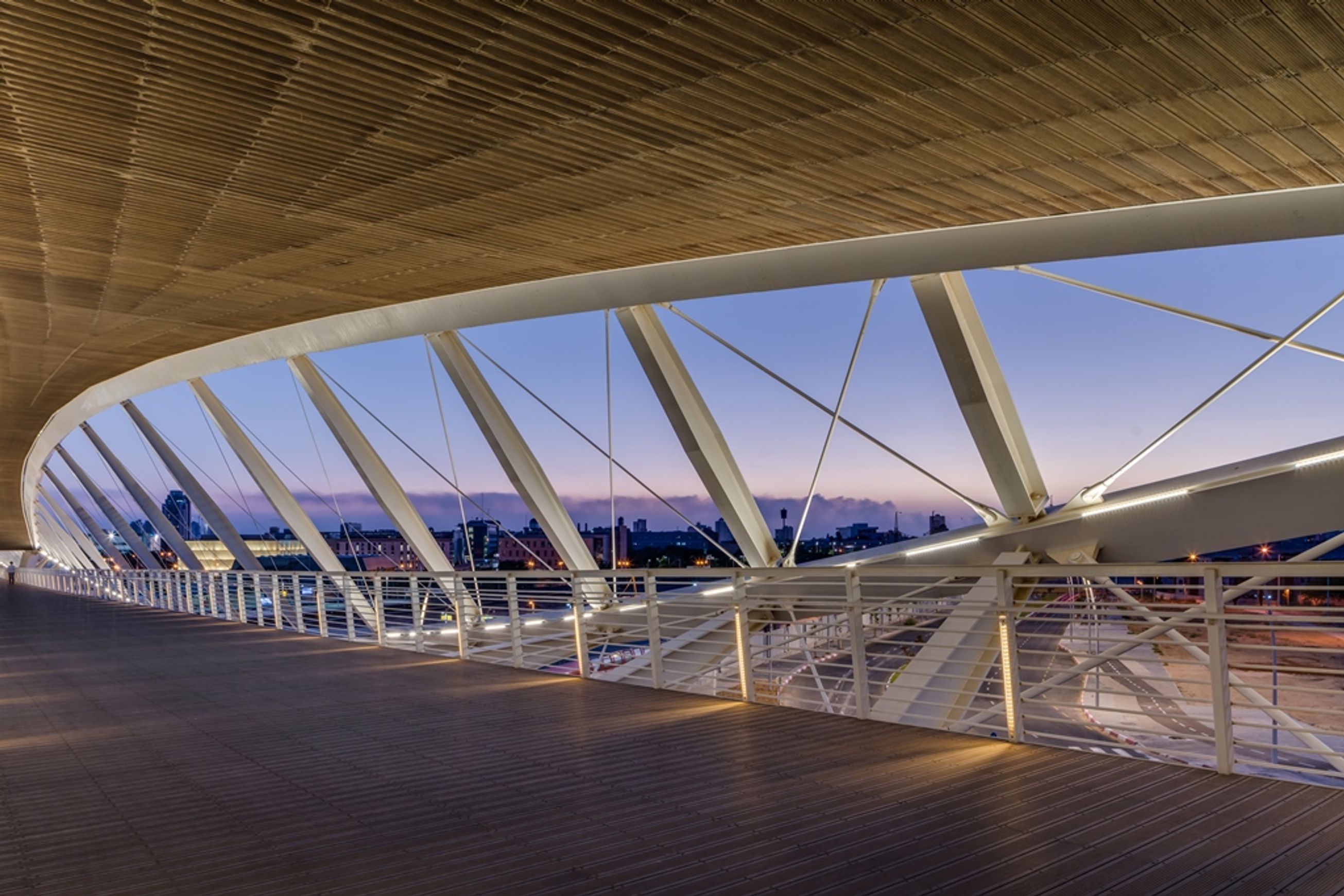 Bamboo X-treme Decking