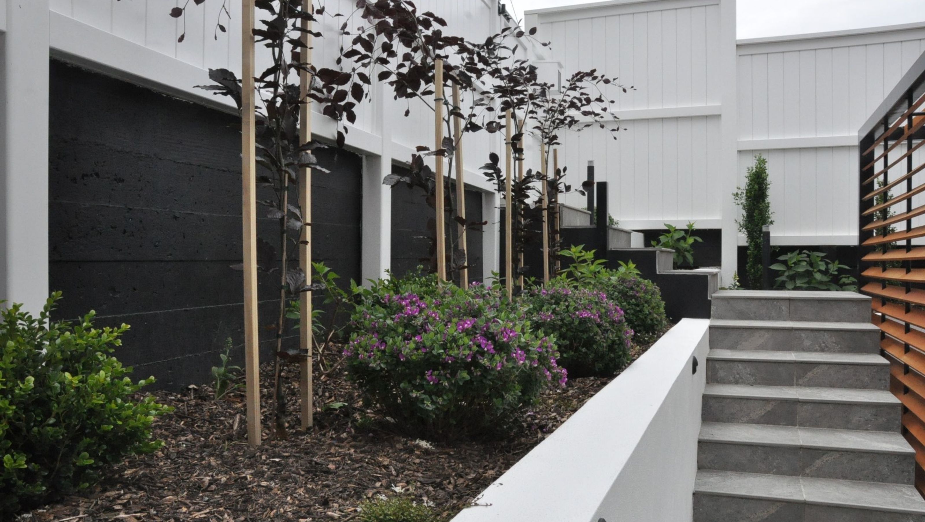 Central Terrace, Kelburn